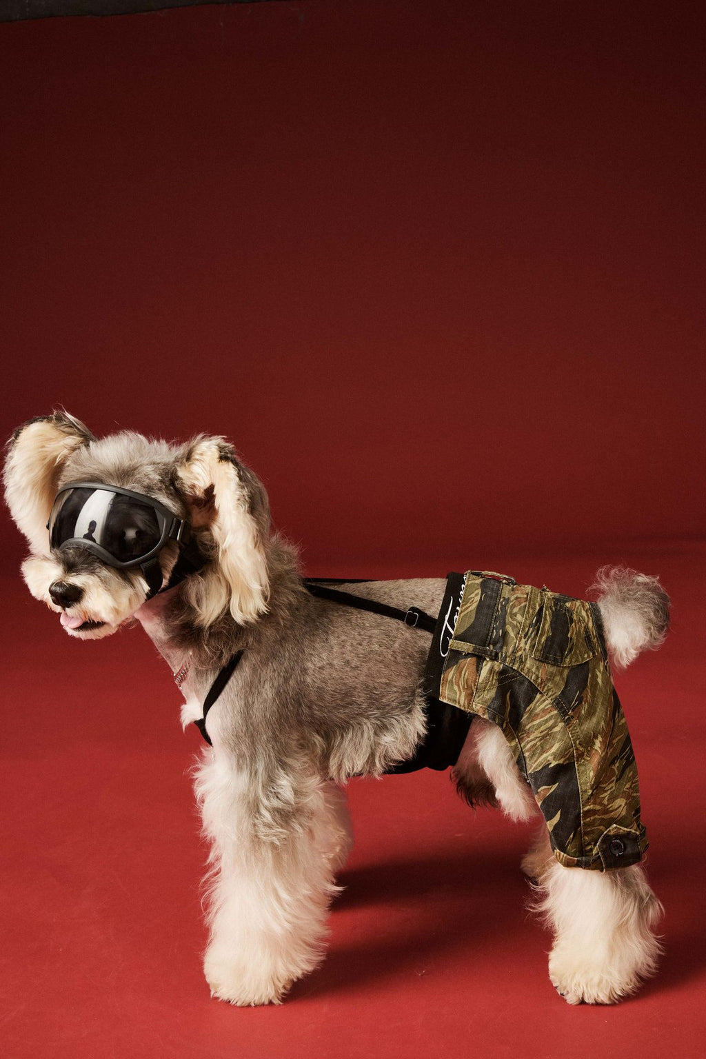 Camouflage Suspender Pants