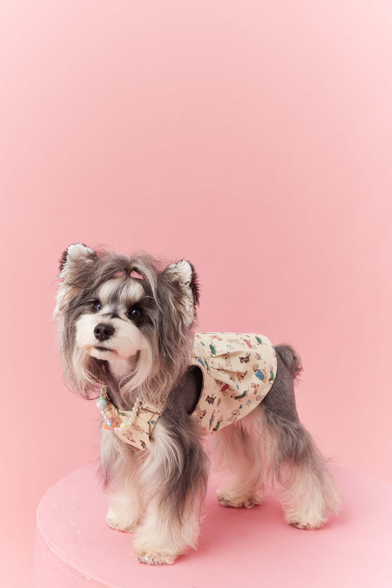 Denim Puppy Print Dress