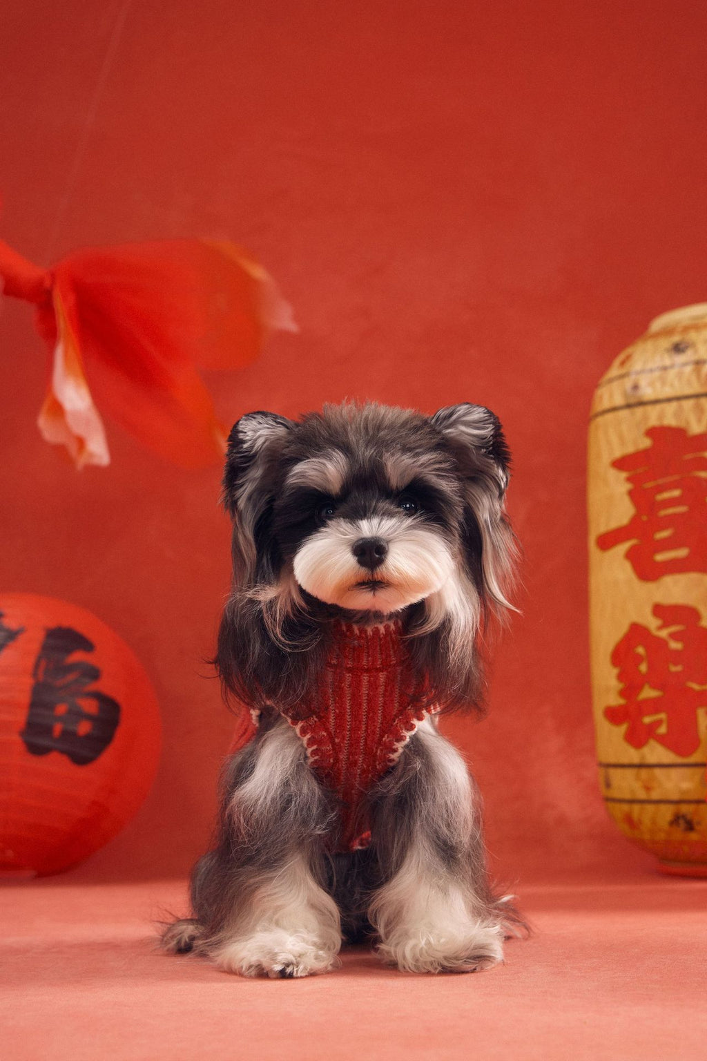 Hooded Pony Knit Vest