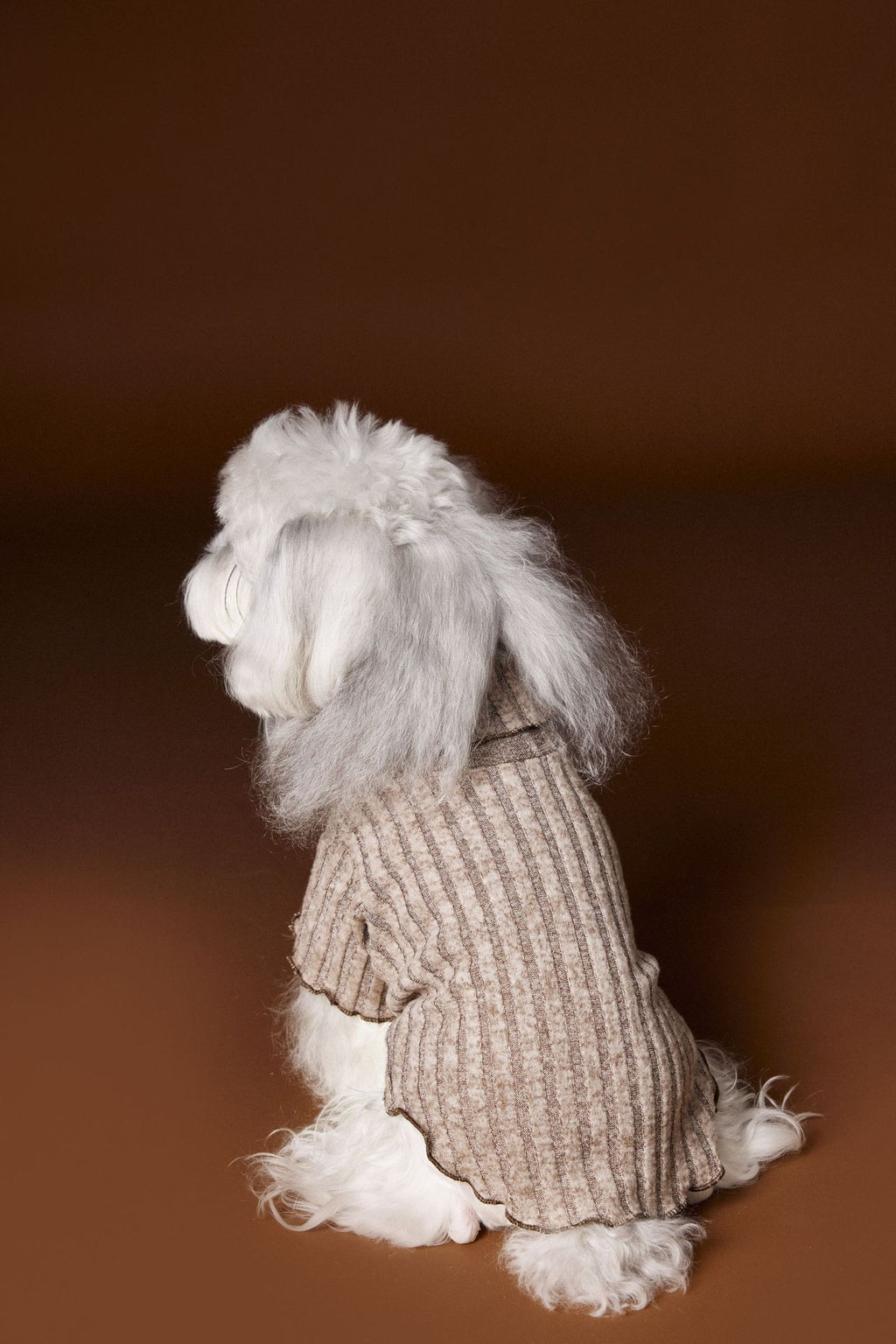Ribbed Knit Turtleneck Tee with Lace Bow