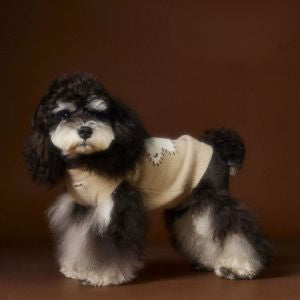 Puppy Patch Knit Sweater