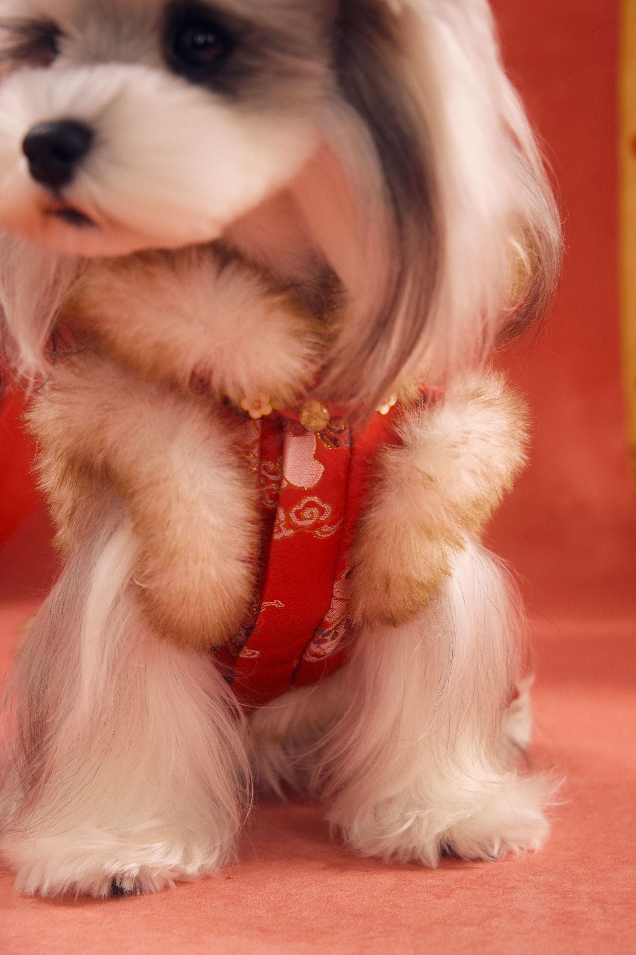 Furry Collar Pony Brocade Vest