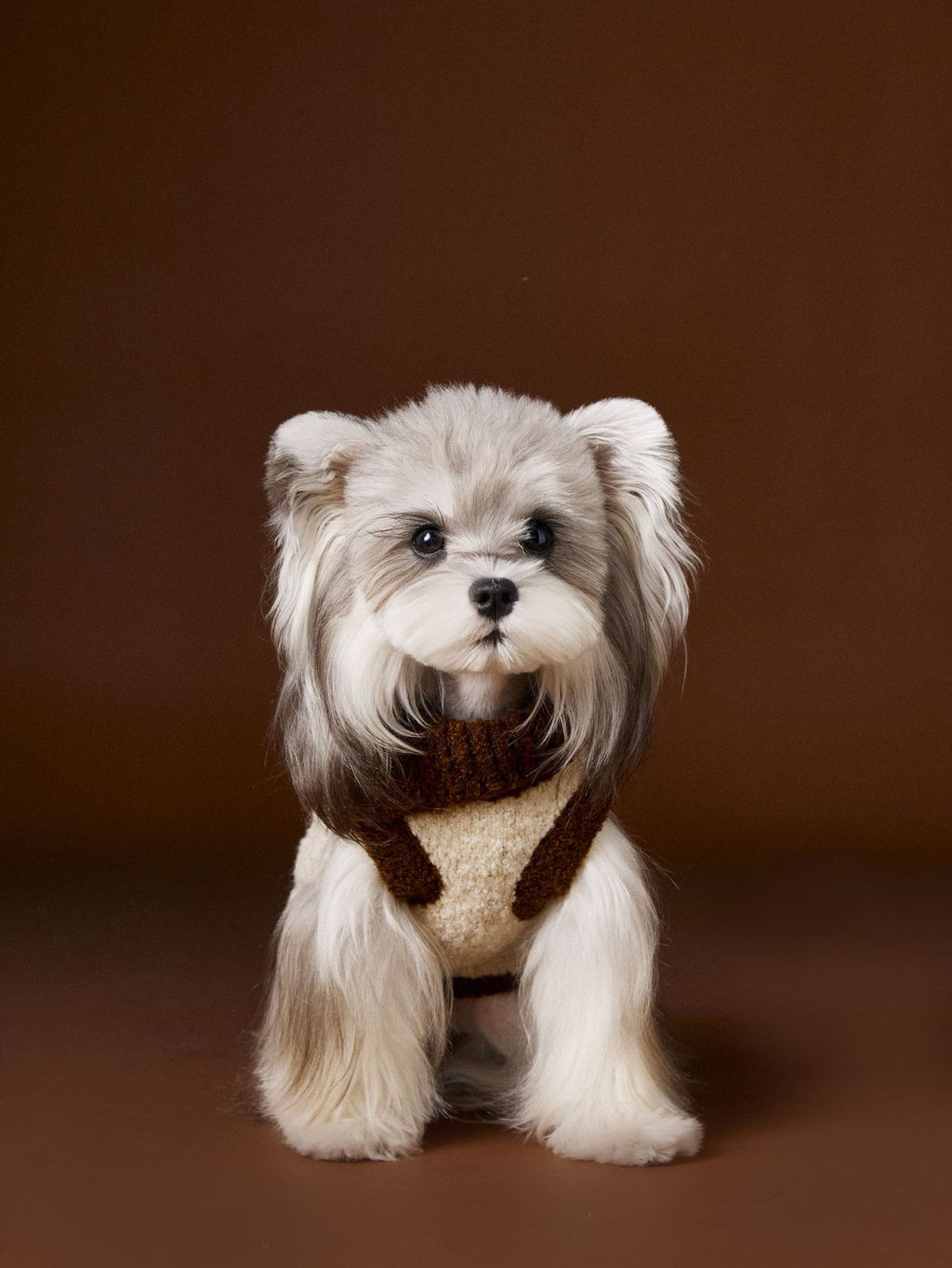 Vintage Knit Dog Sweater with Cartoon Embroidery