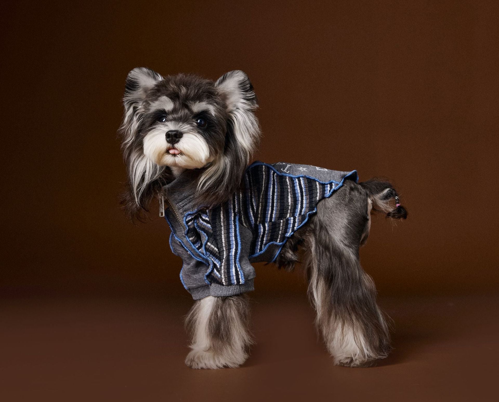 Colorblock Zip-Up Sporty Ruffle Sweatshirt