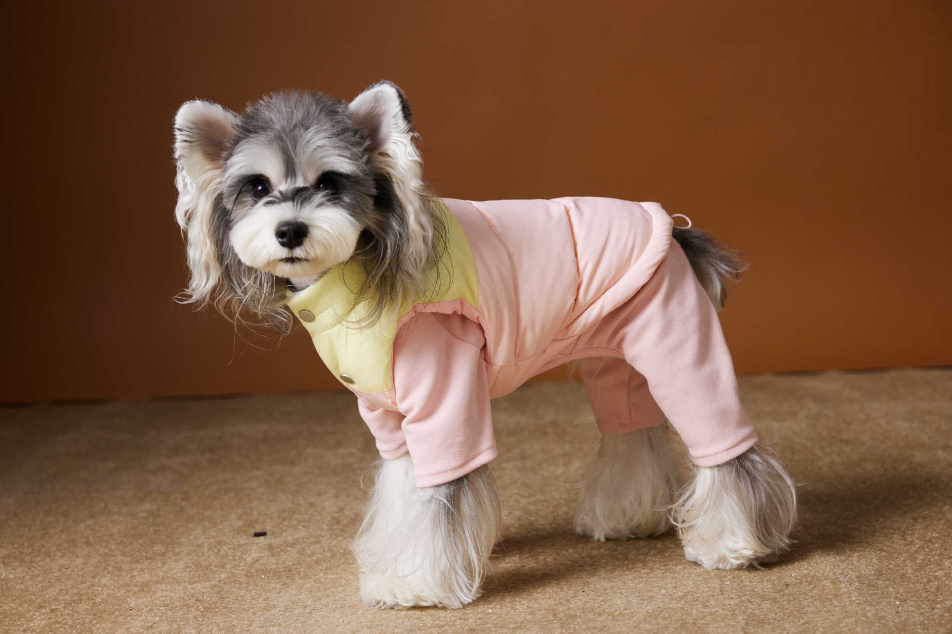 Colorblock Puffer Vest