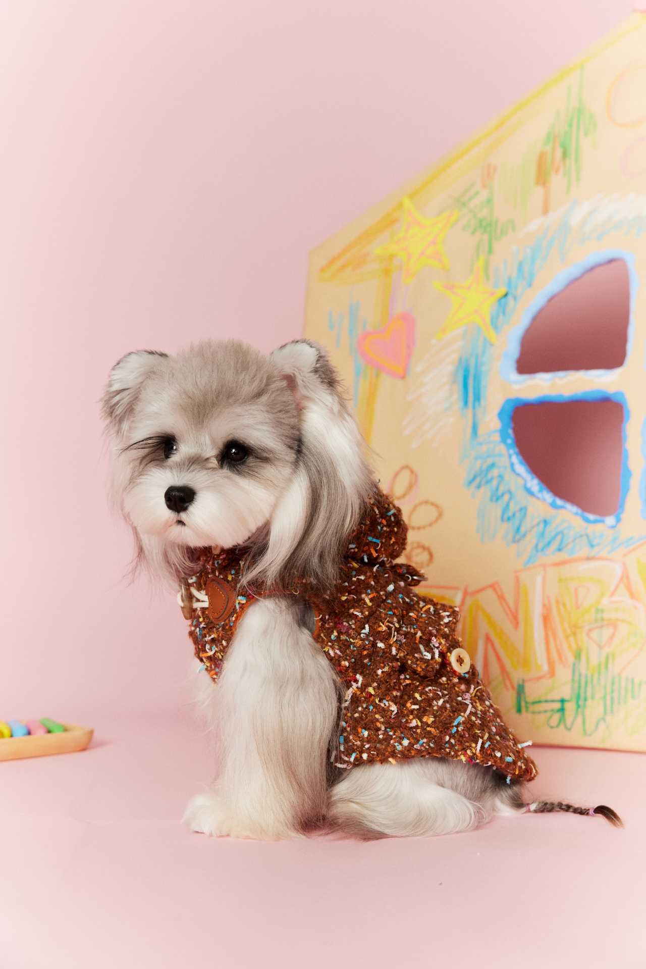 Confetti Tweed Toggle Hooded Dog Vest