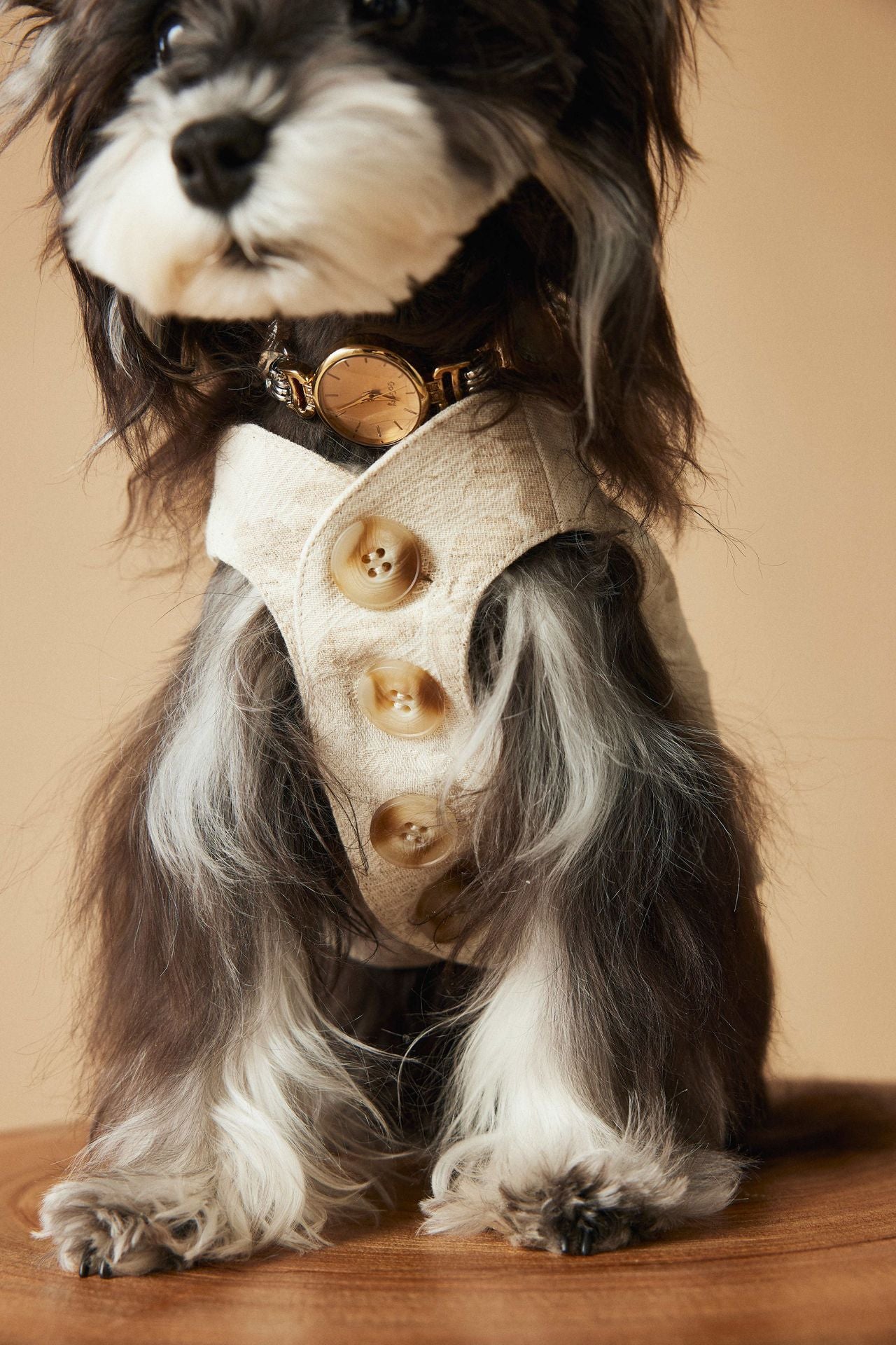 Ivory Gentleman Suit Vest