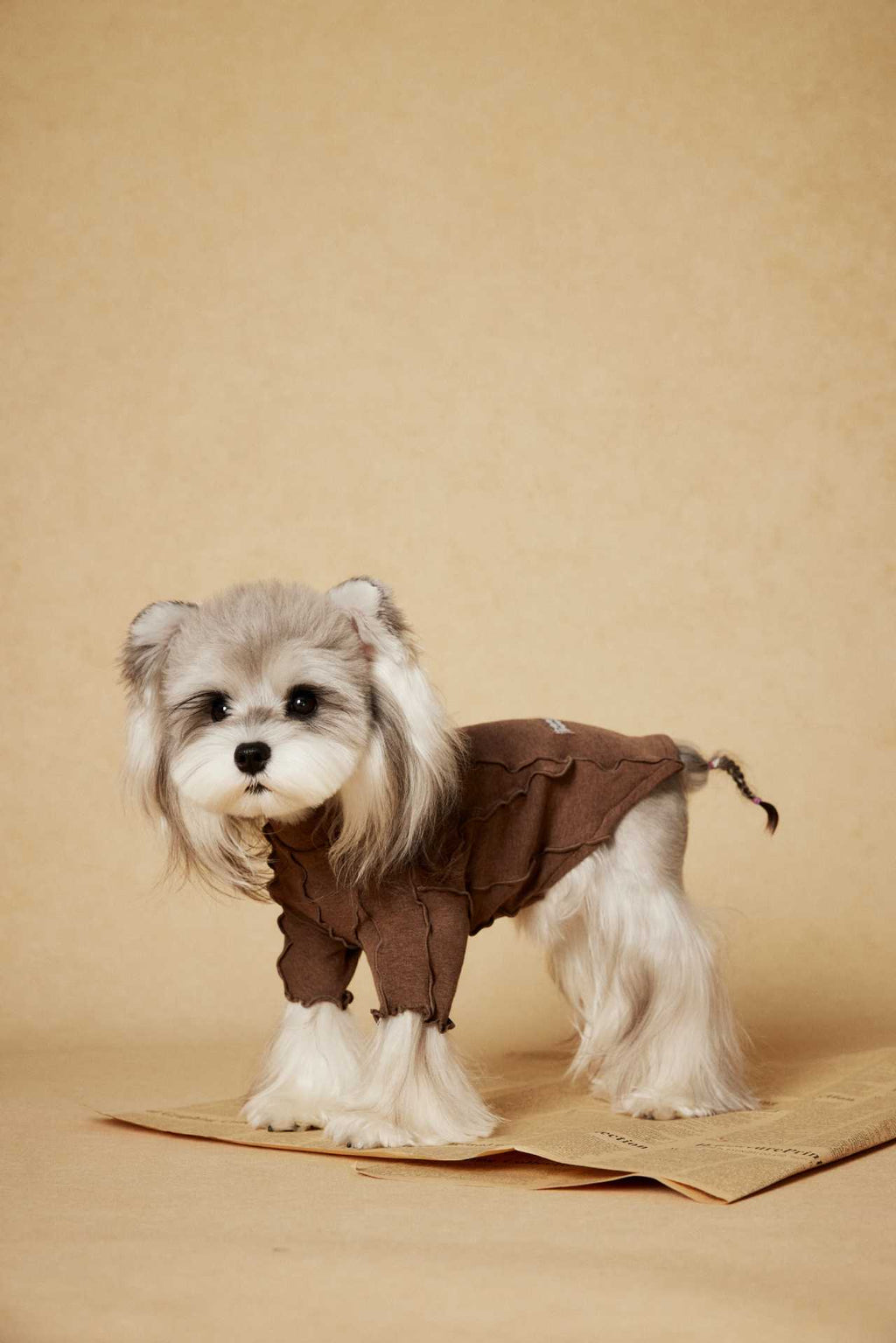 Ruffle Edge Dog Shirt