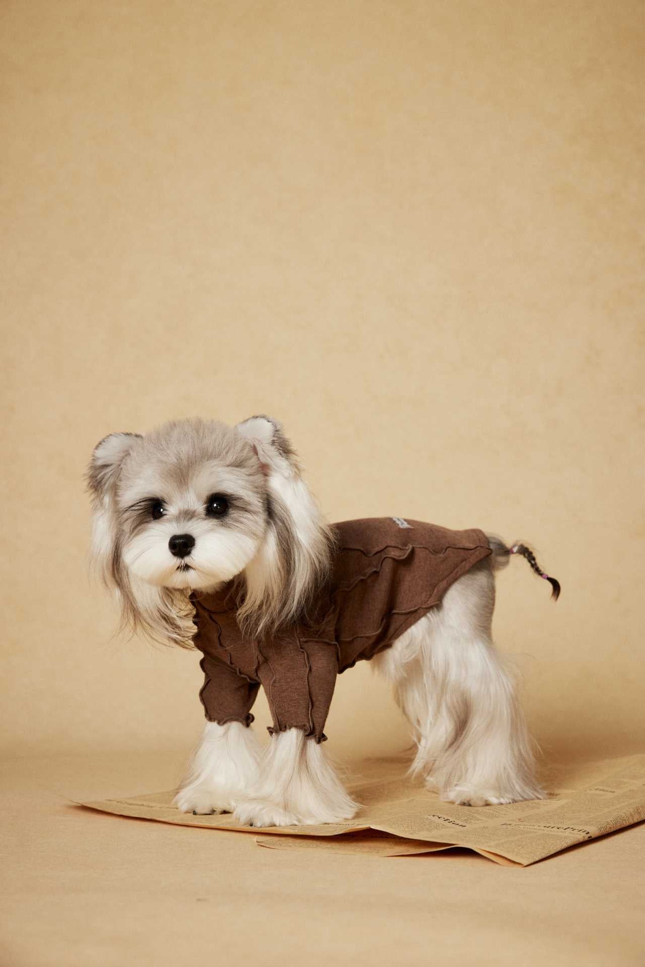 Ruffle Edge Dog Shirt