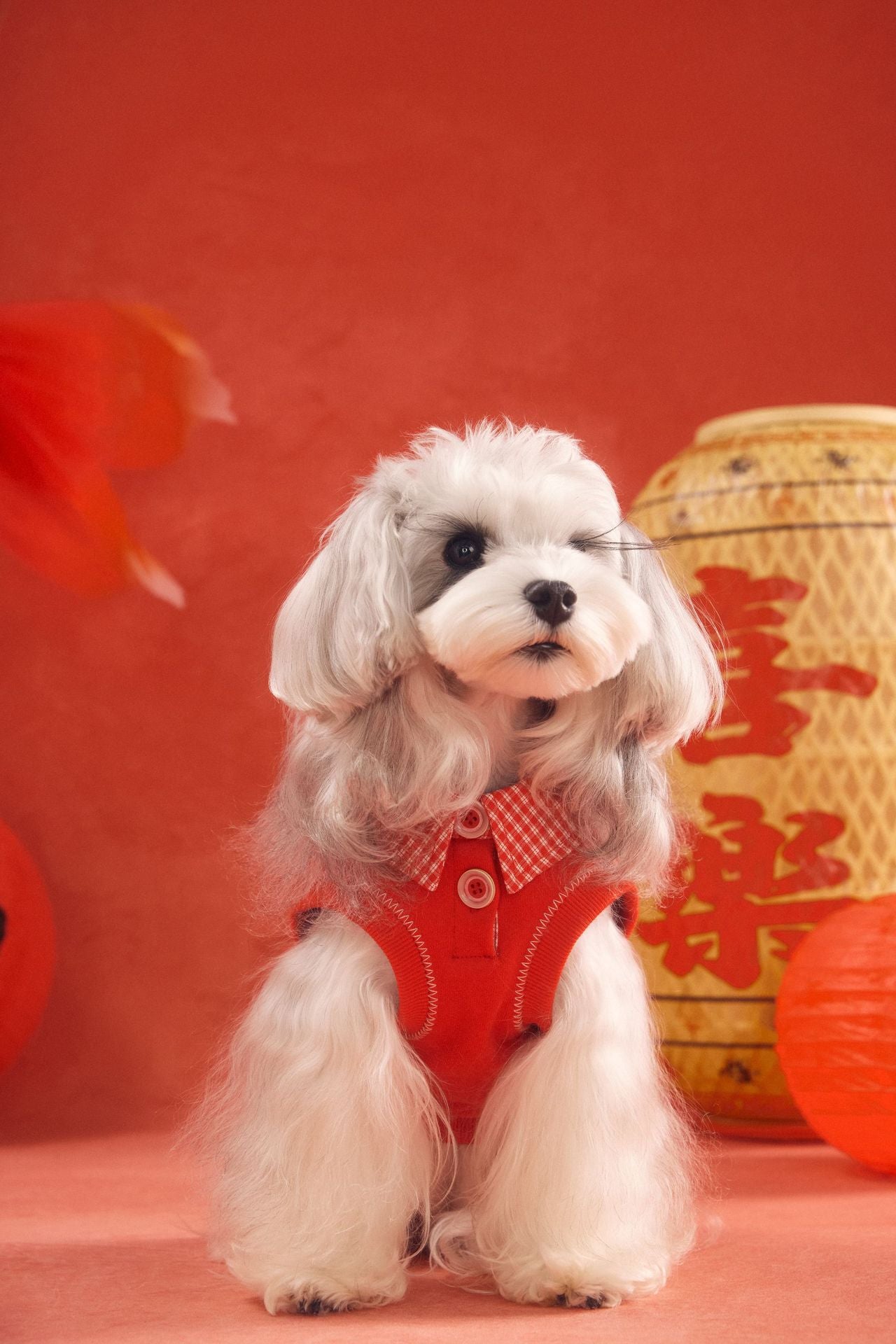 Lucky Get Money Pony Sweat Vest