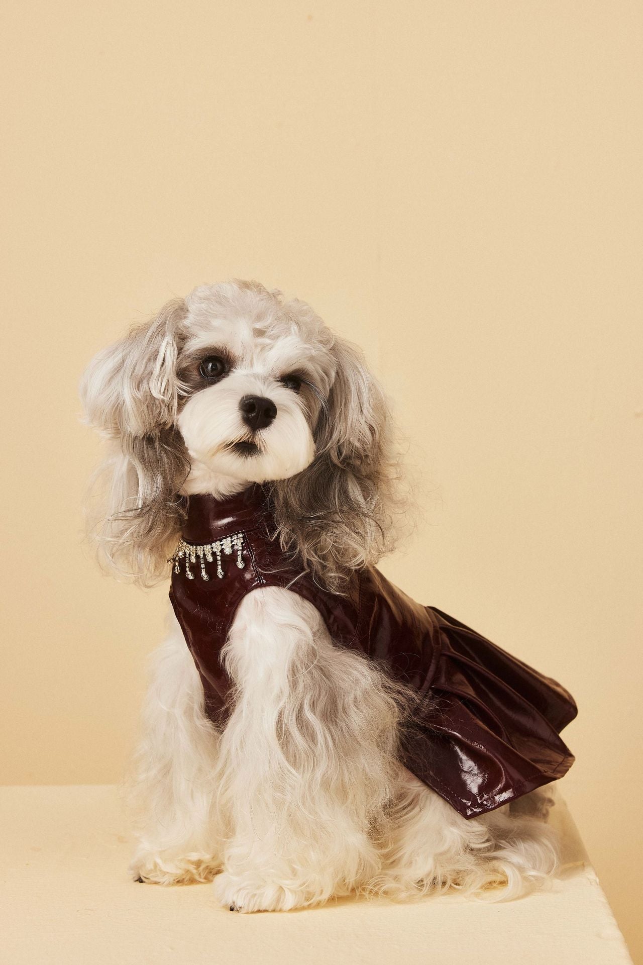 Wine Faux-Leather Dress