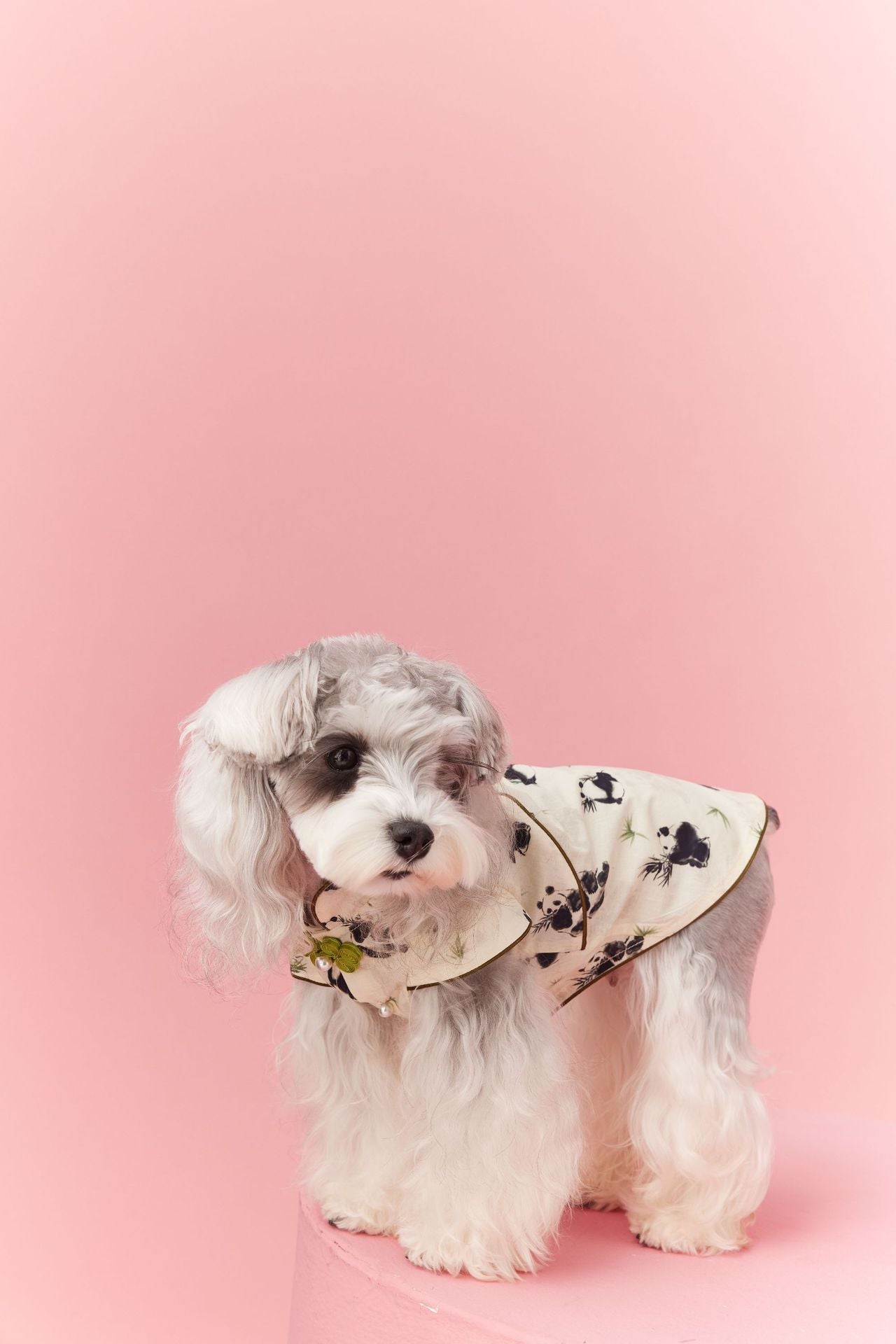 Panda Ruffle Cheongsam Dress