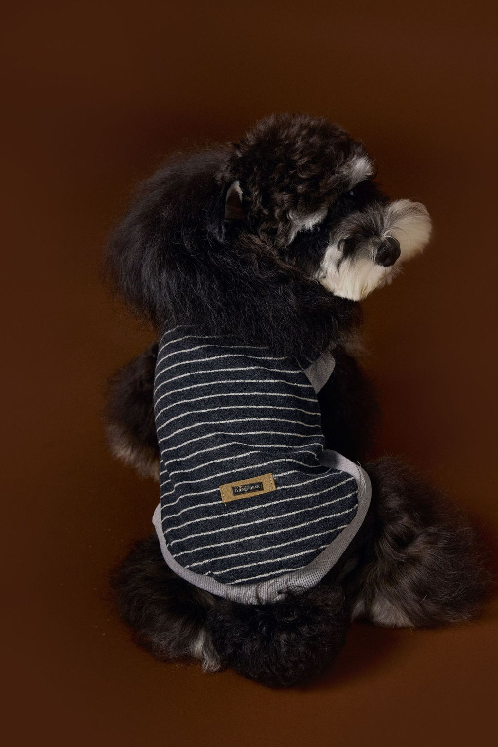 Striped Turtleneck Knit Vest