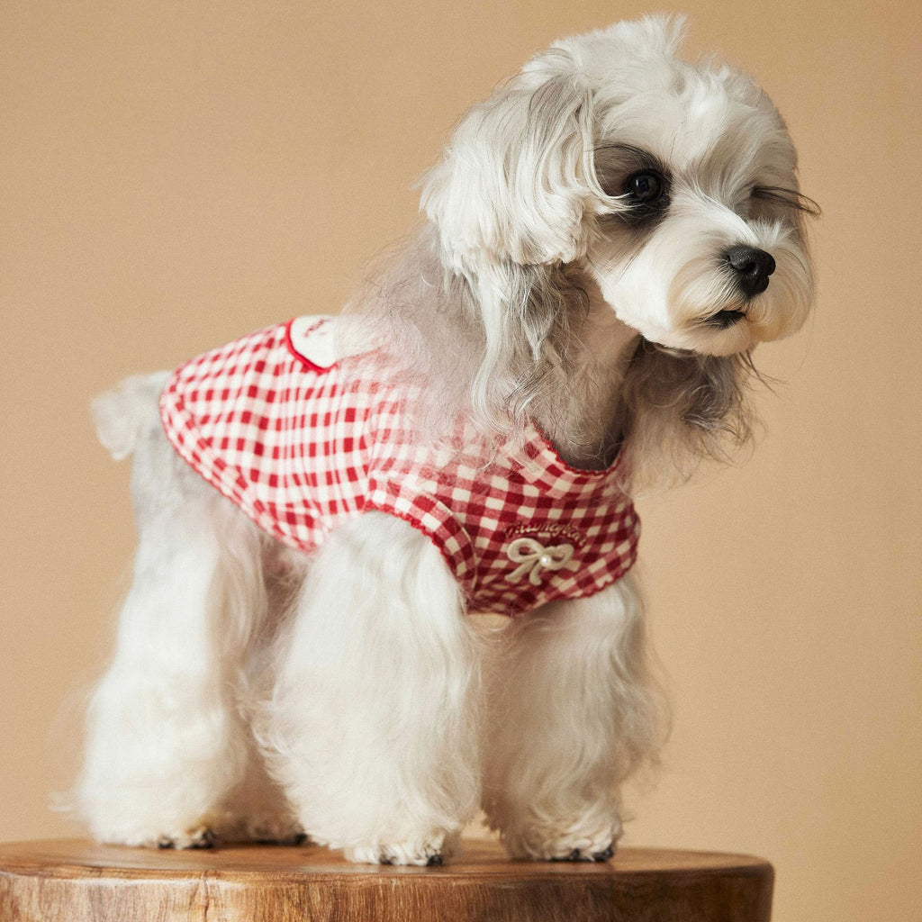 Red Gingham Bear Patch Dog Vest