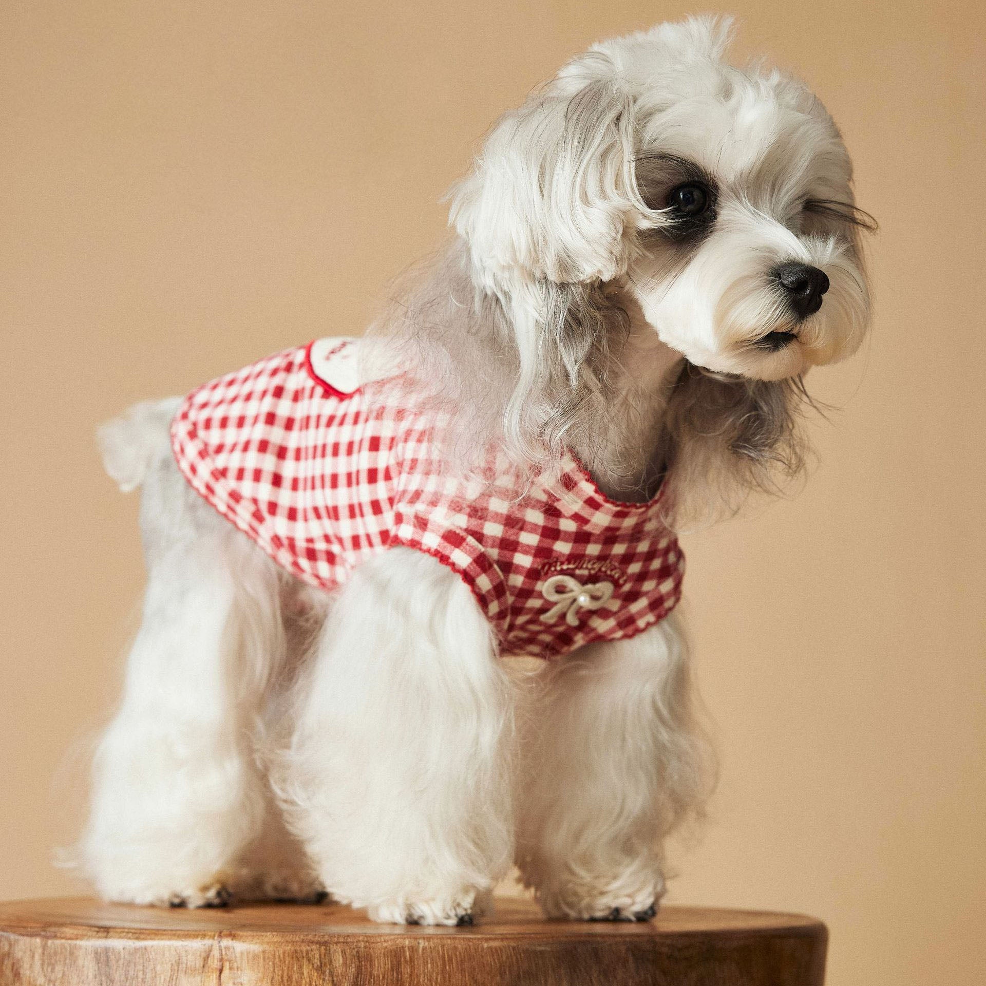 Red Gingham Bear Patch Dog Vest