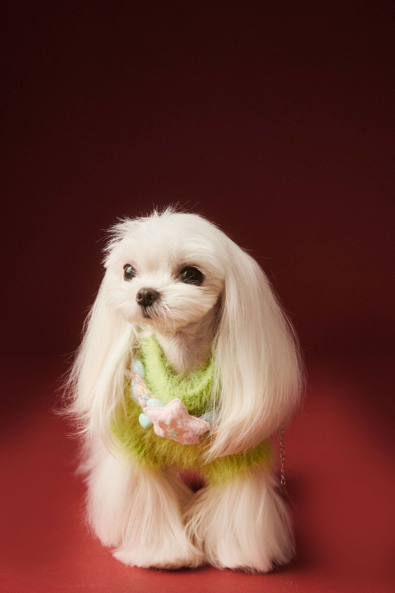 Fluffy Knit Dog Vest with Teddy Face