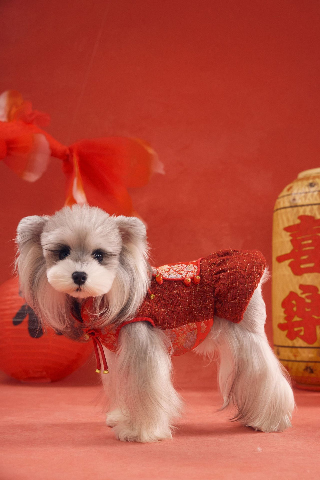 Lunar Brocade Cheongsam Dress