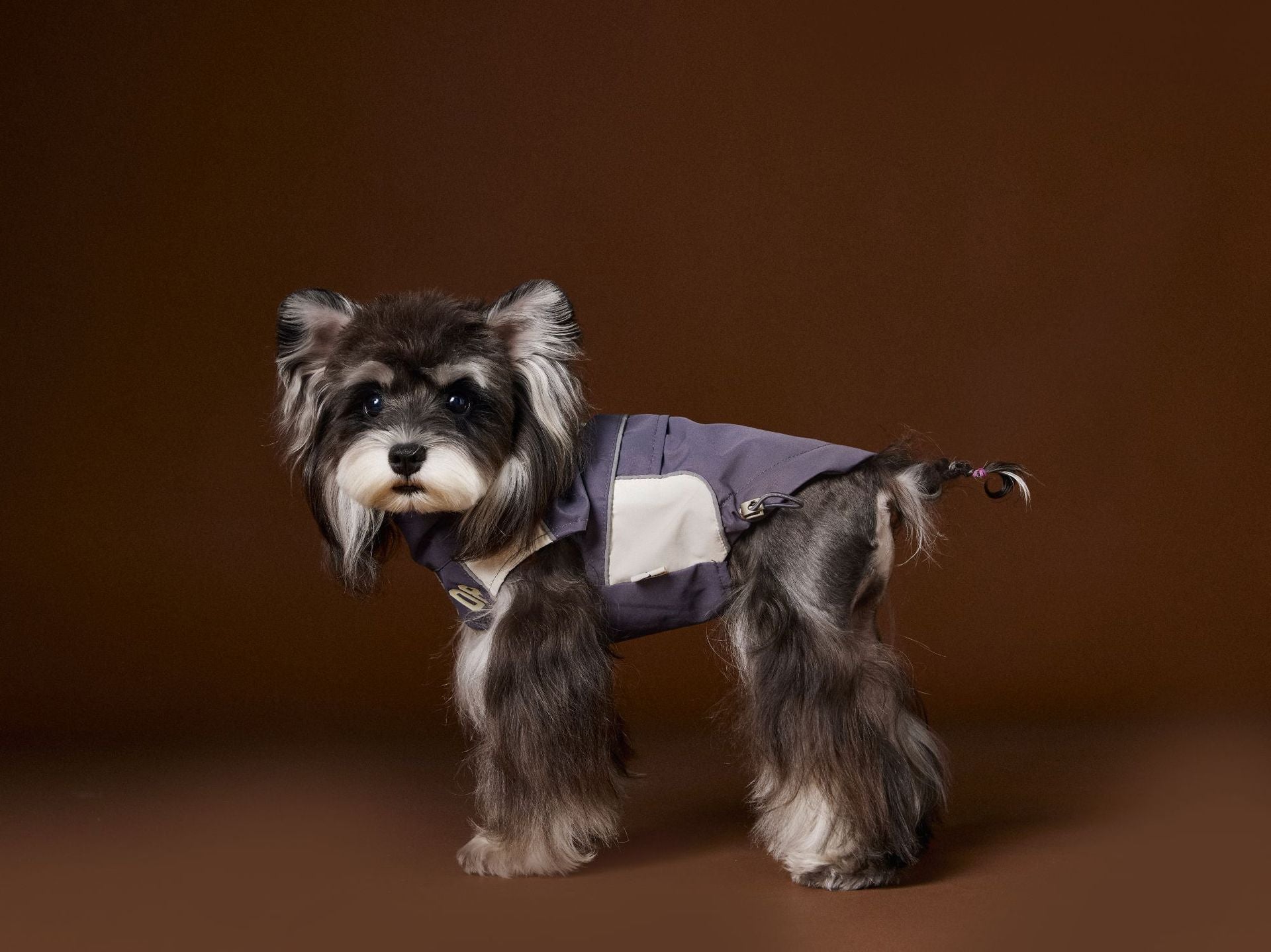 Sporty Sleeveless Dog Jacket
