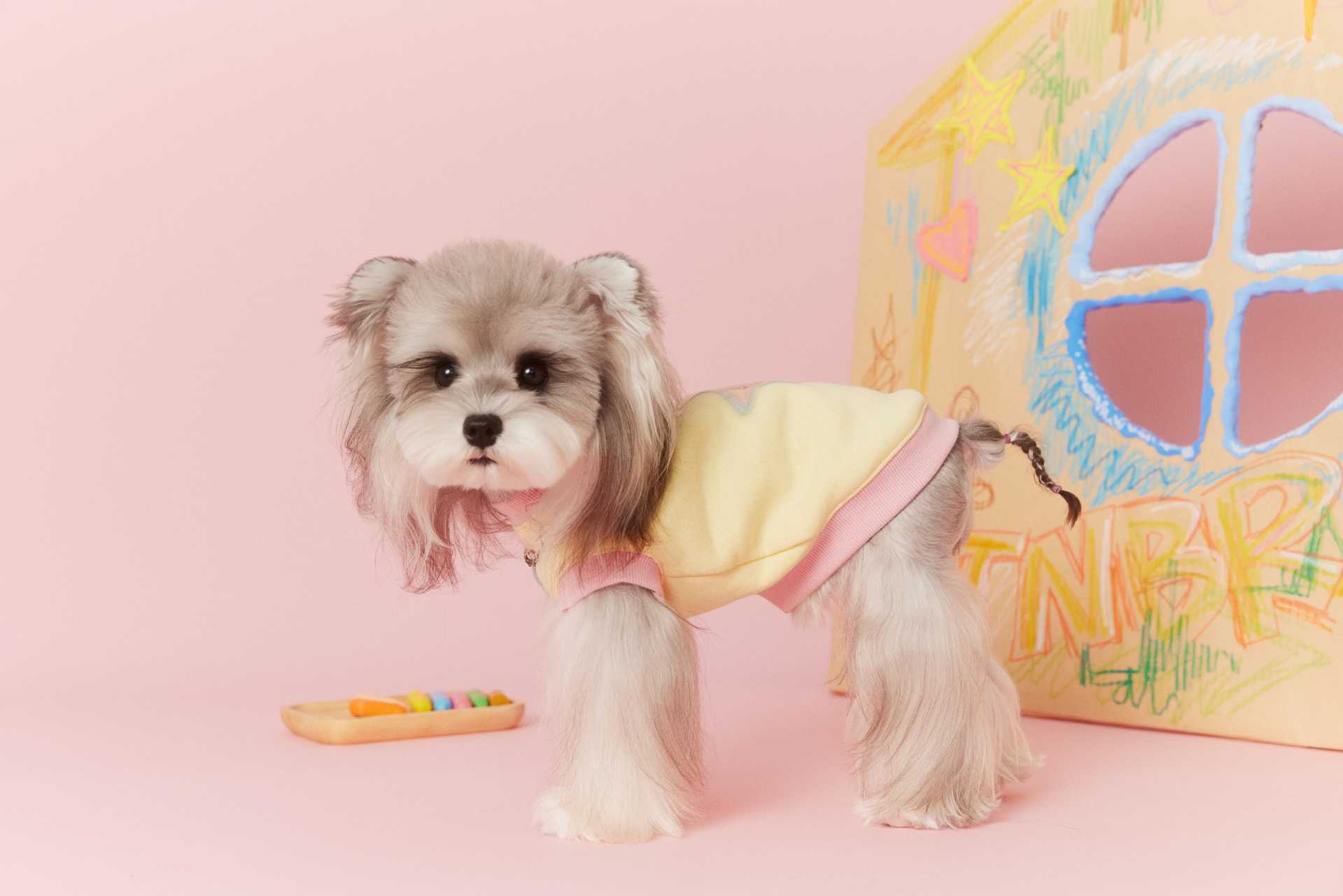 Cute Star Patch Sweatshirt for Dogs Yellow Pink