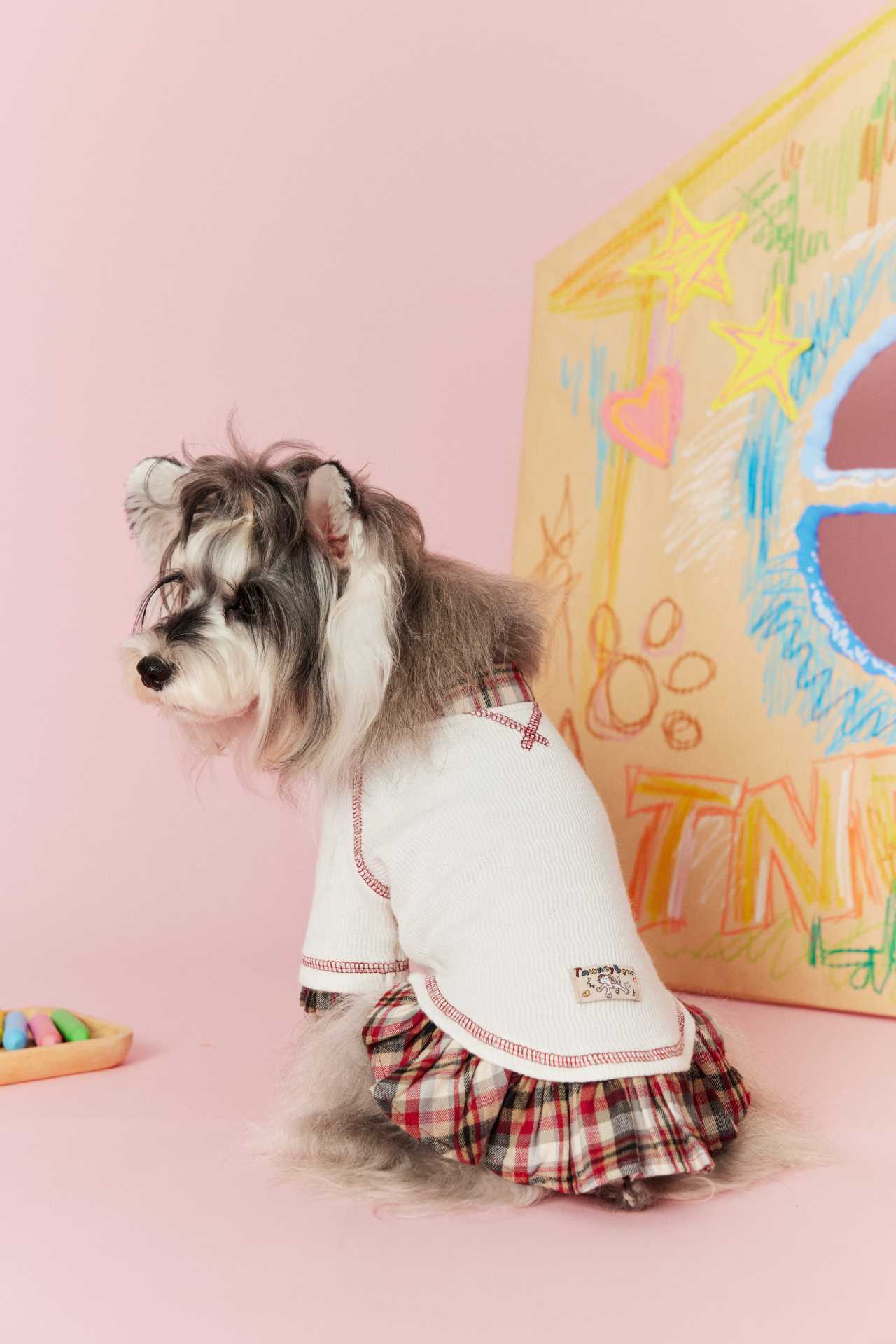 Plaid Doll Collar Knit Dress