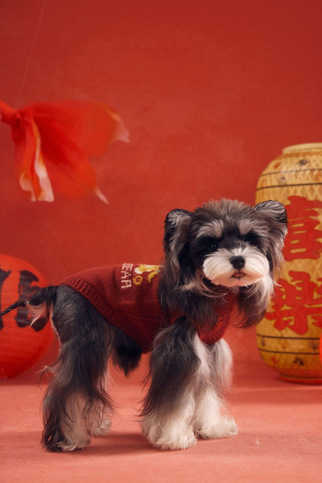 Striped Pony Knit Vest