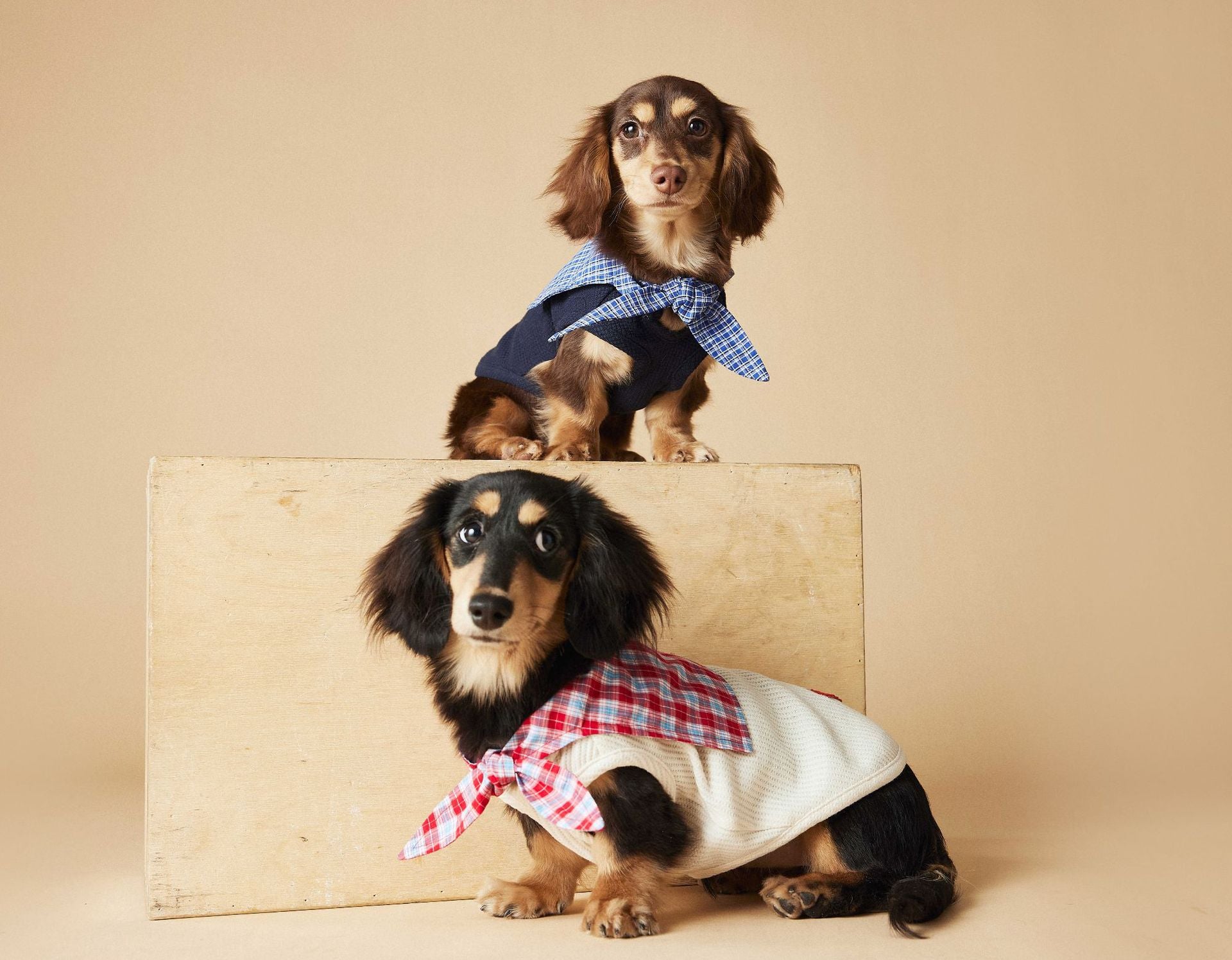 Plaid Collar Sleeveless Knit Vest