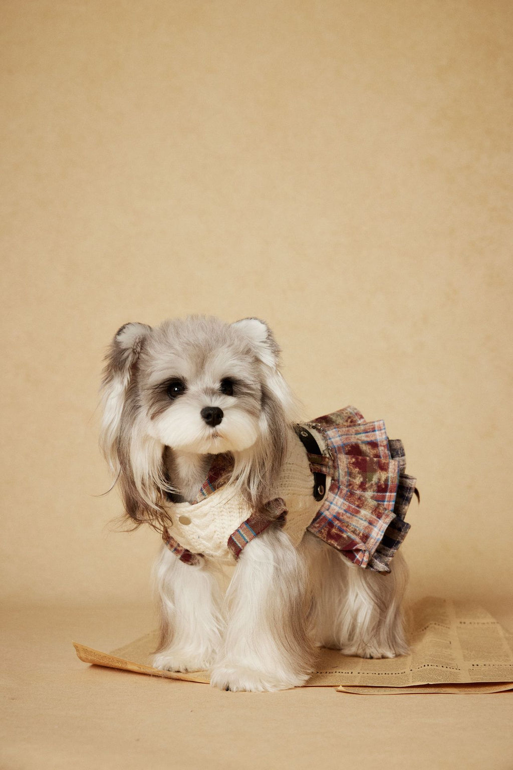 Cable Knit Plaid Dress