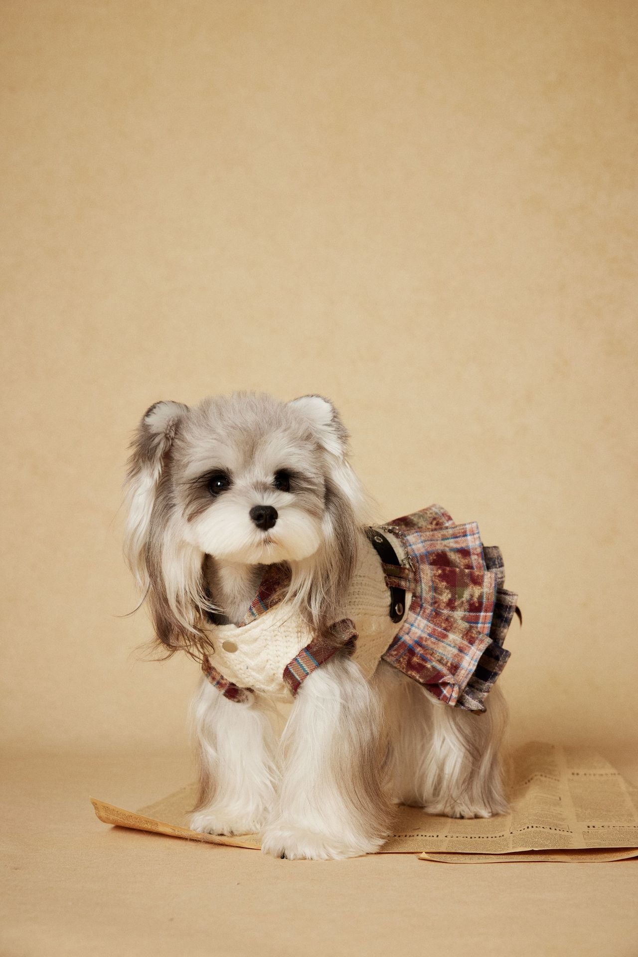 Cable Knit Plaid Dress
