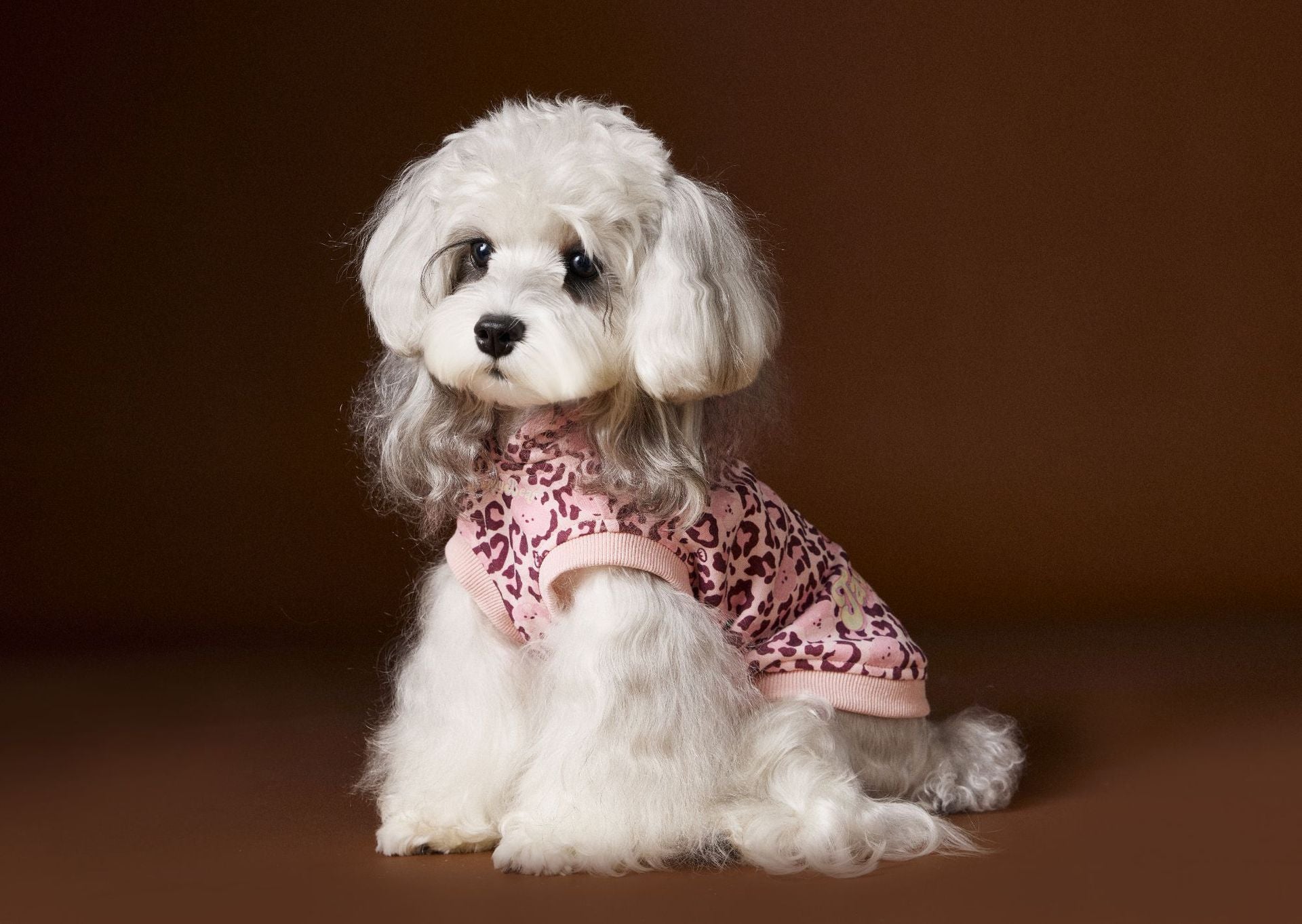Leopard Print Dog Hoodie Vest