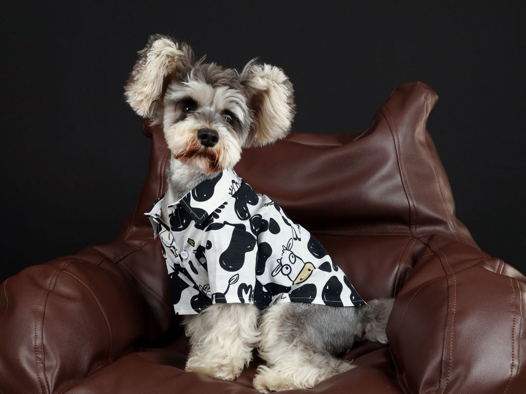 Cow Print Vacation Shirt