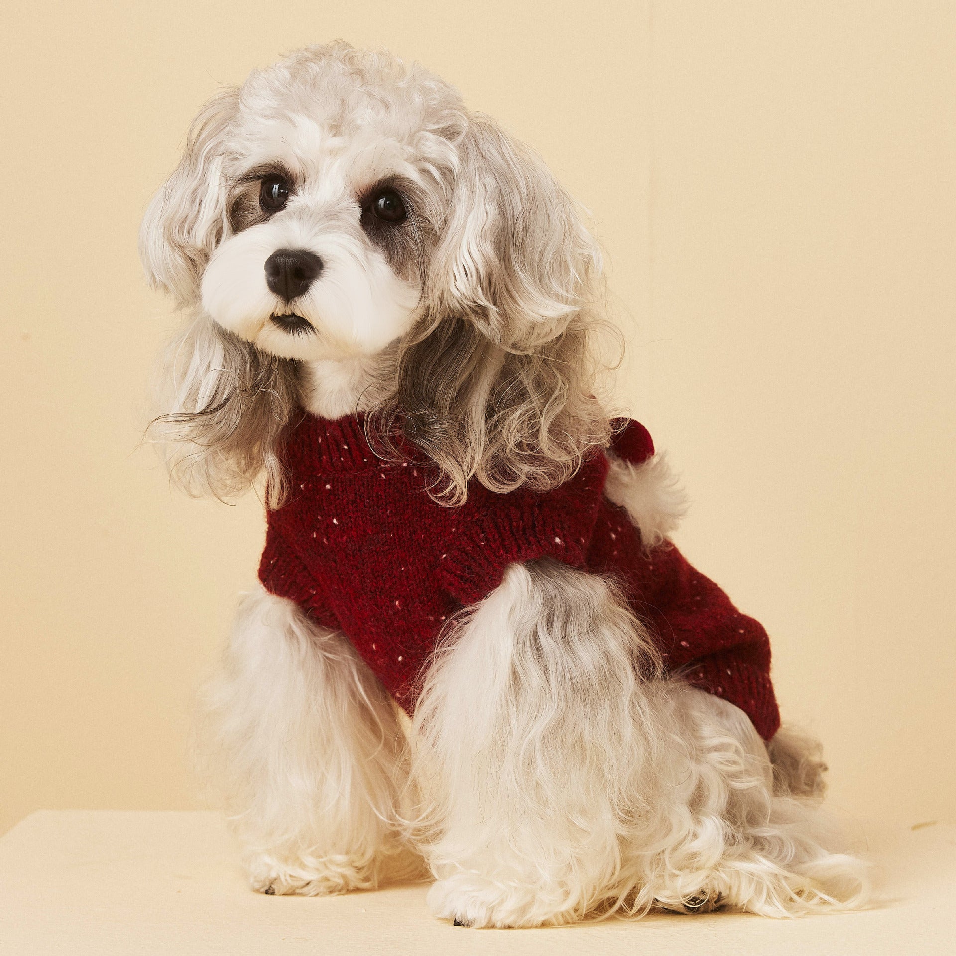 Red Knit Sweater with Puppy Patch