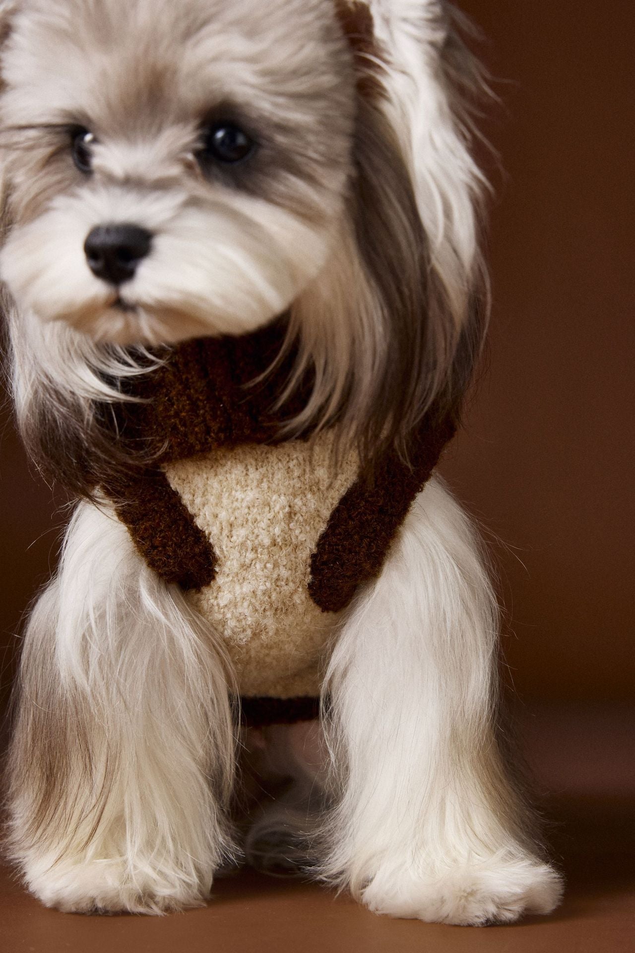 Vintage Knit Dog Sweater with Cartoon Embroidery