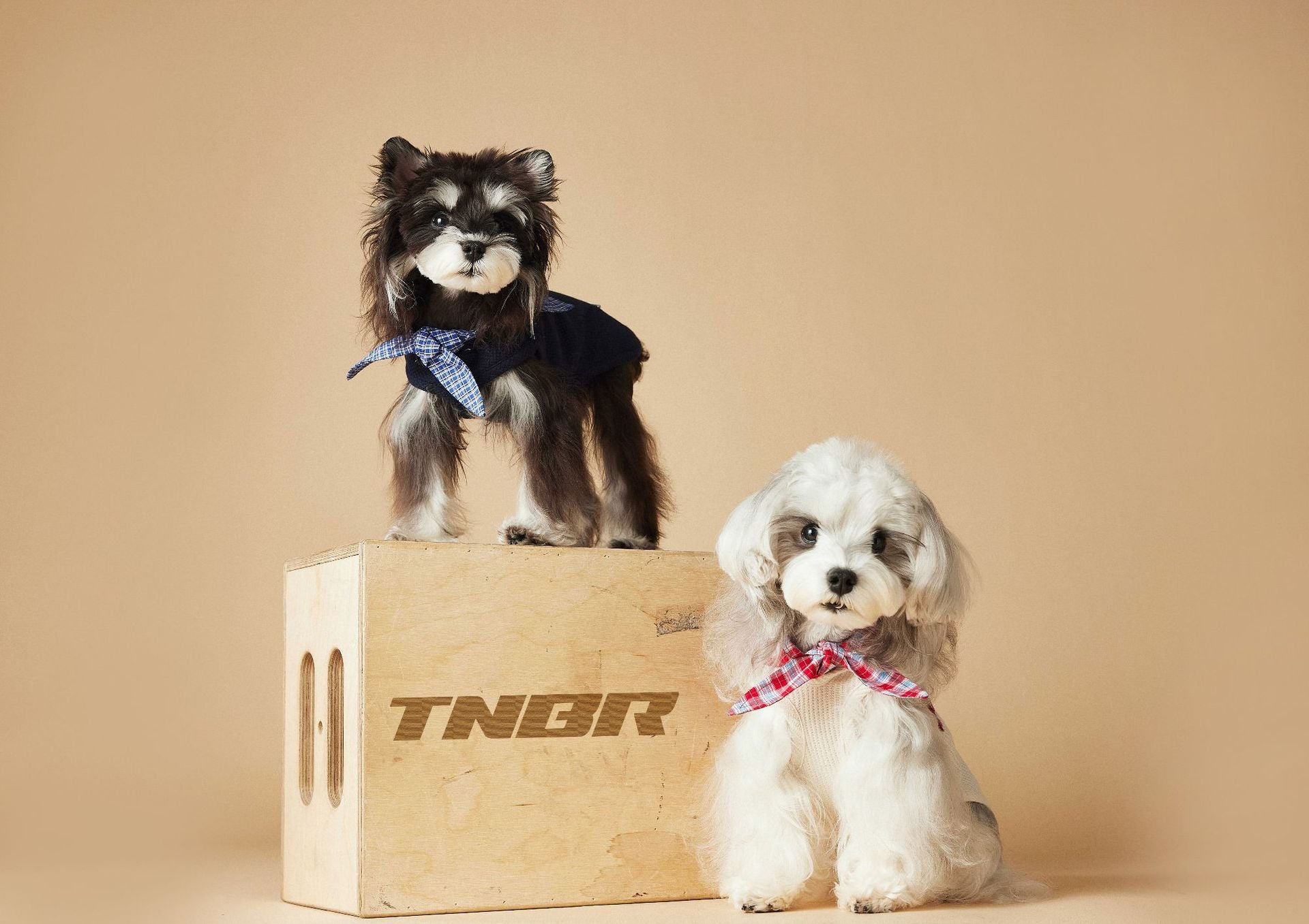 Plaid Collar Sleeveless Knit Vest