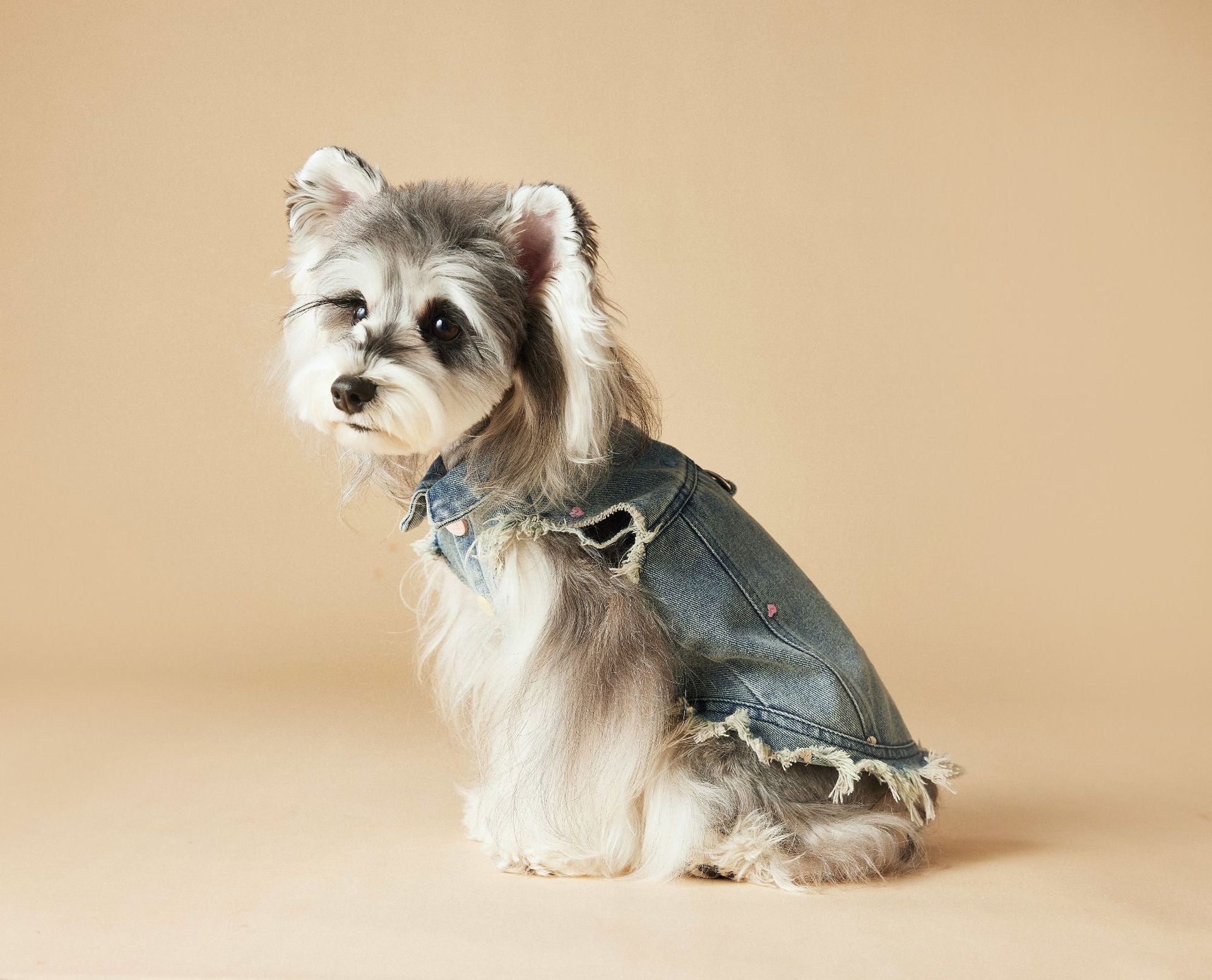 Retro Fringe Denim Vest