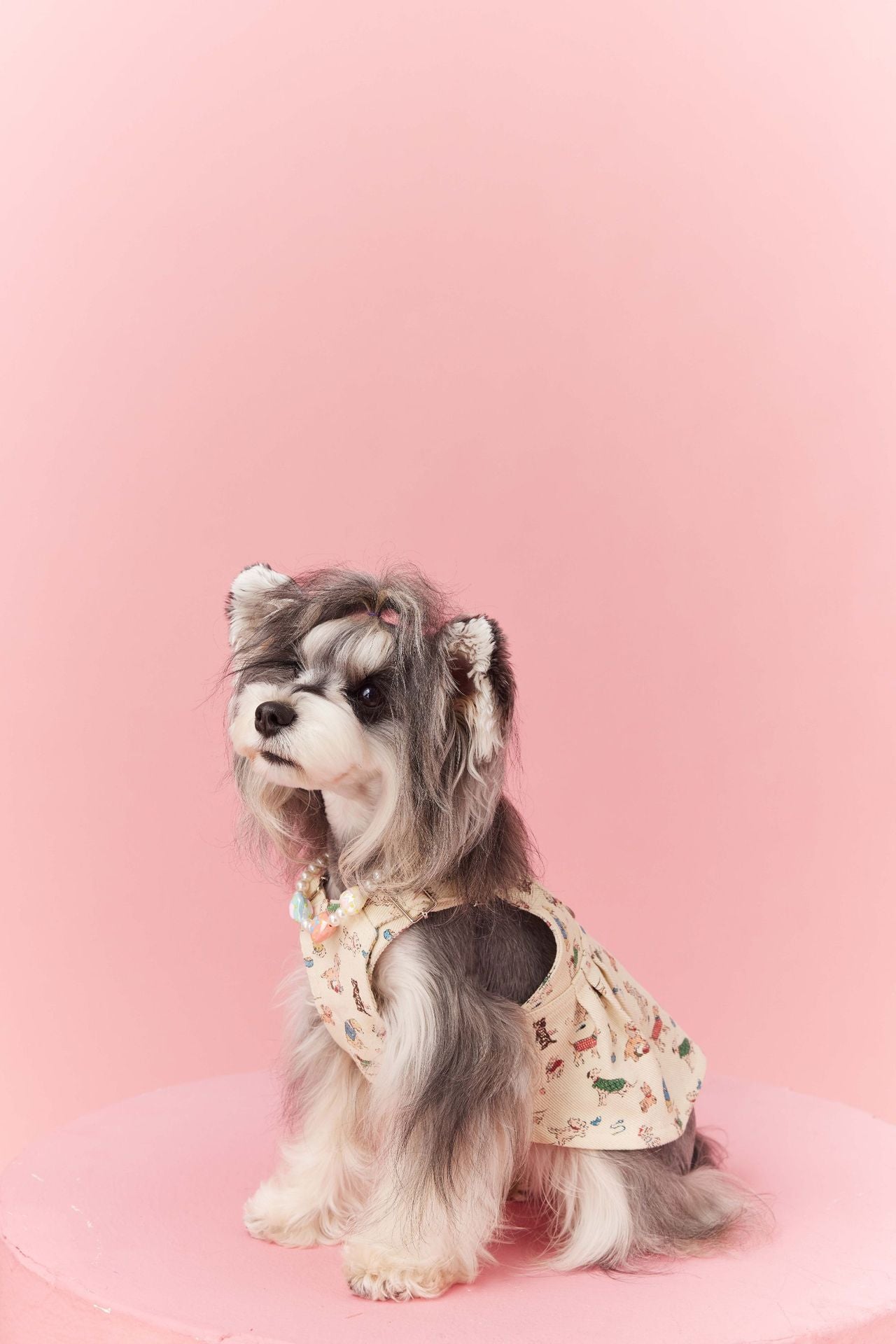 Denim Puppy Print Dress