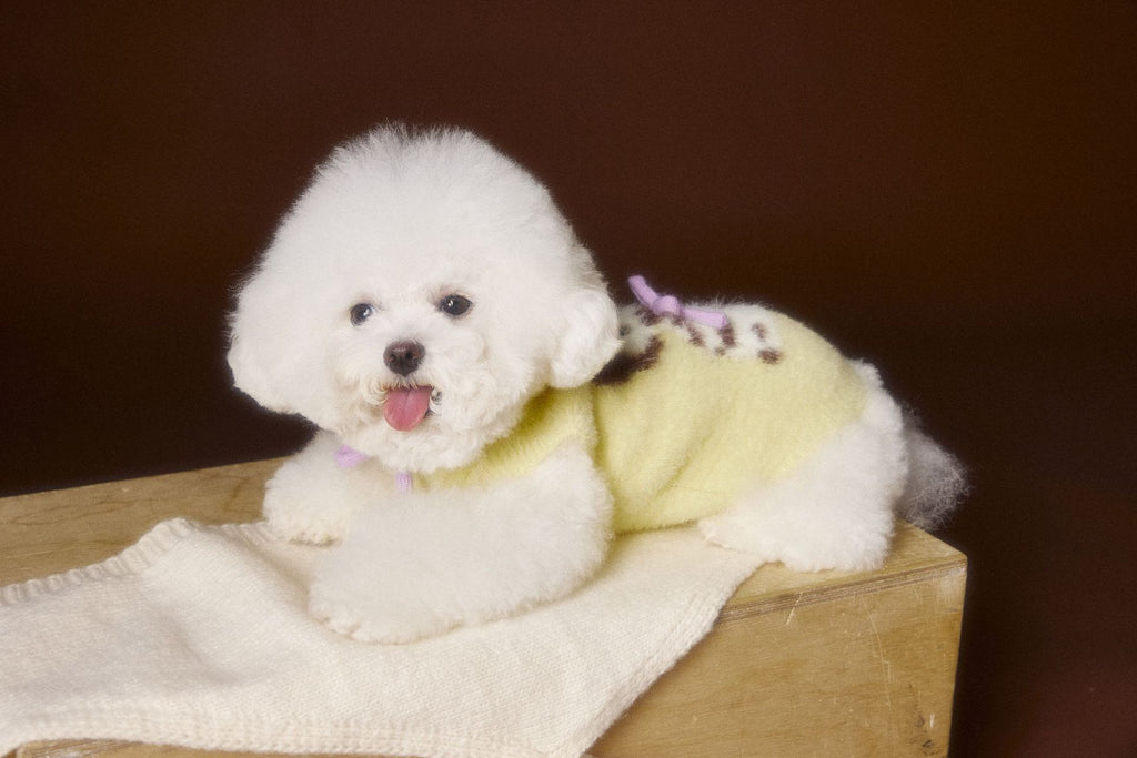 Spotted Pup Fuzzy Hooded Vest