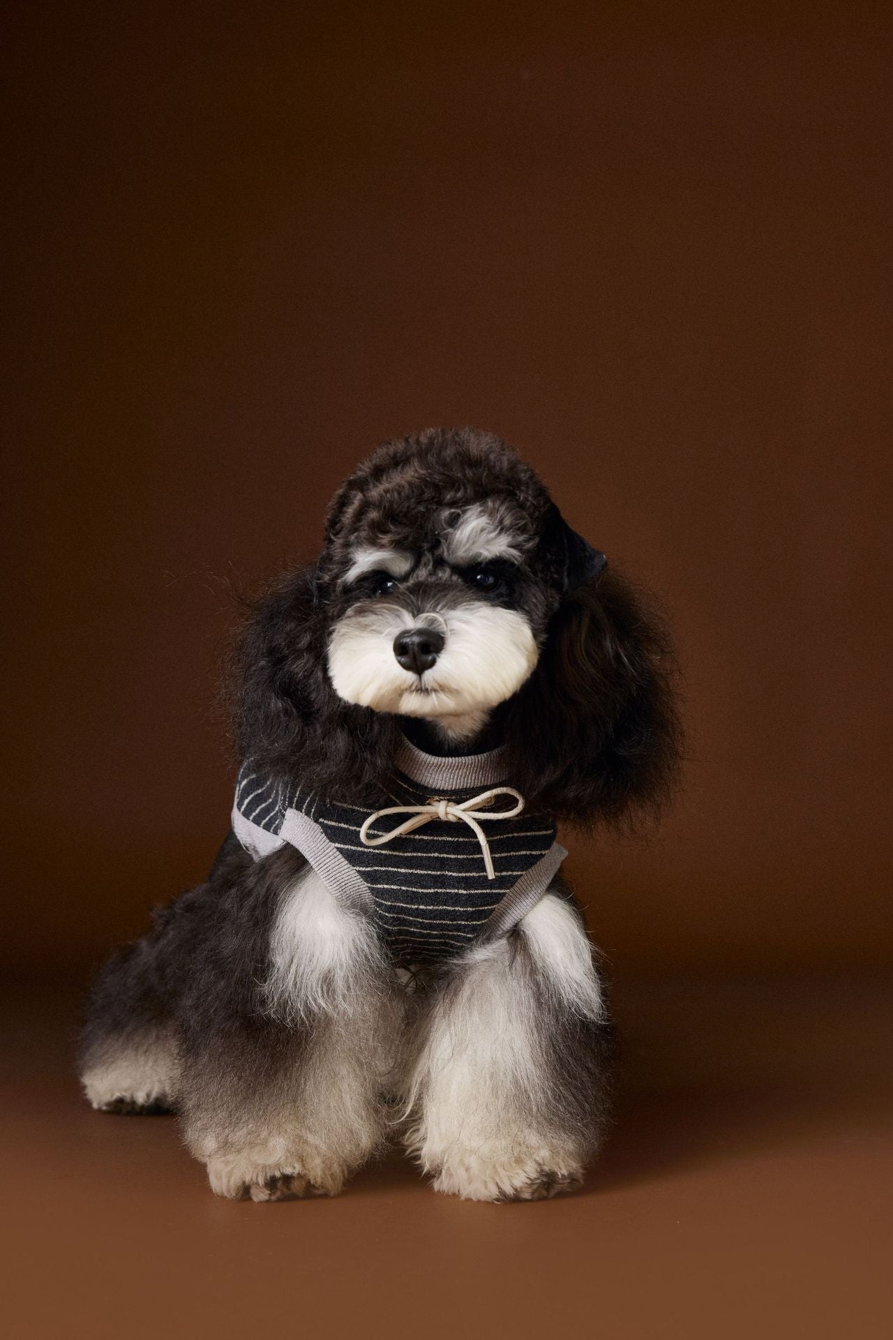 Striped Turtleneck Knit Vest