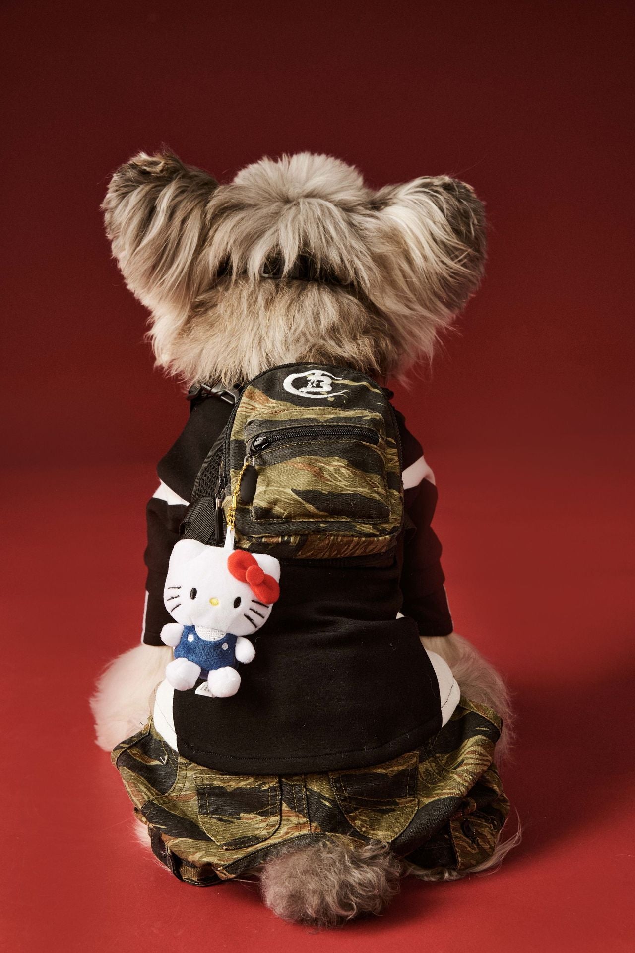 Moto Style Sweatshirt for Dogs