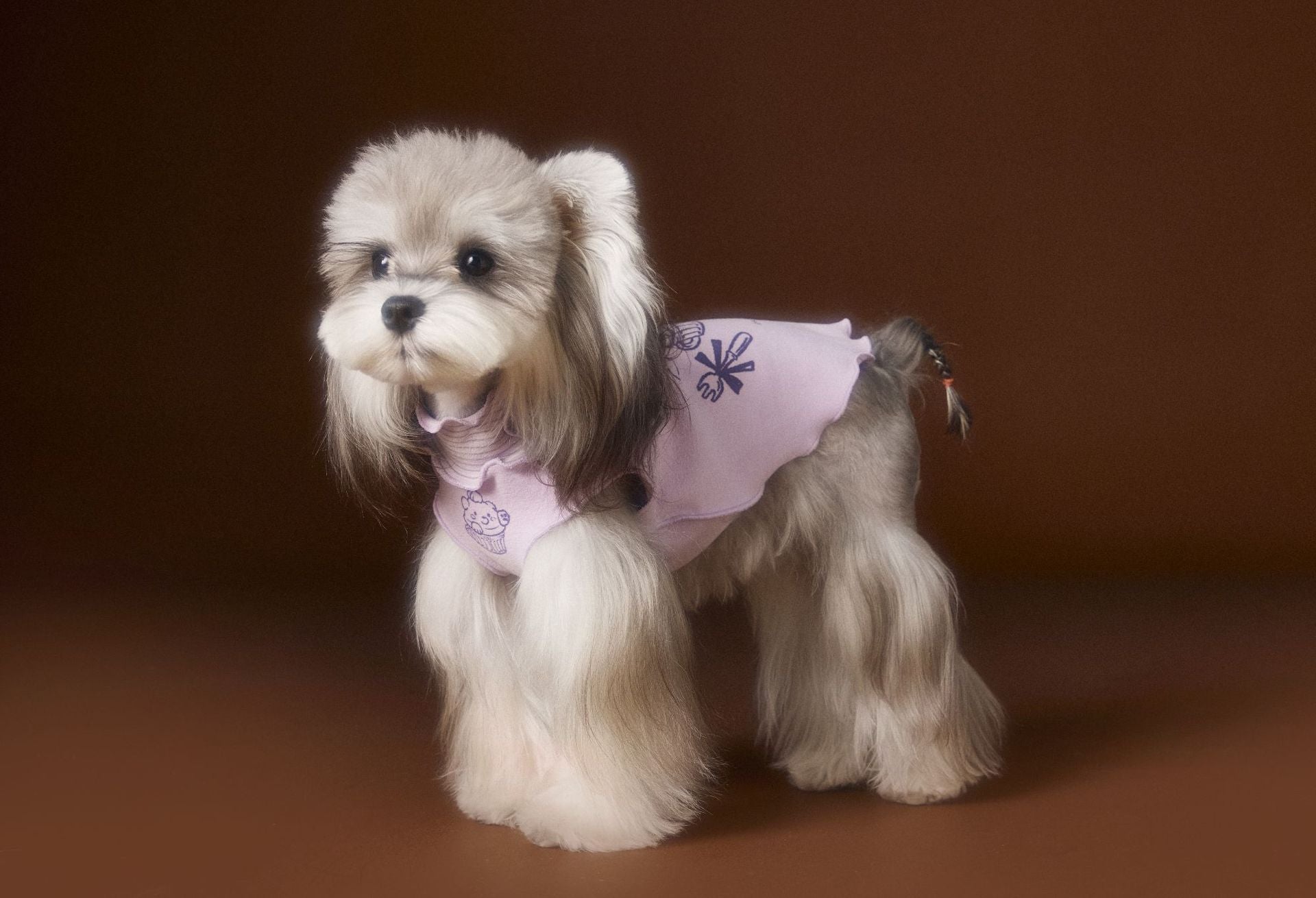 Ruffle Cupcake Dog Vest