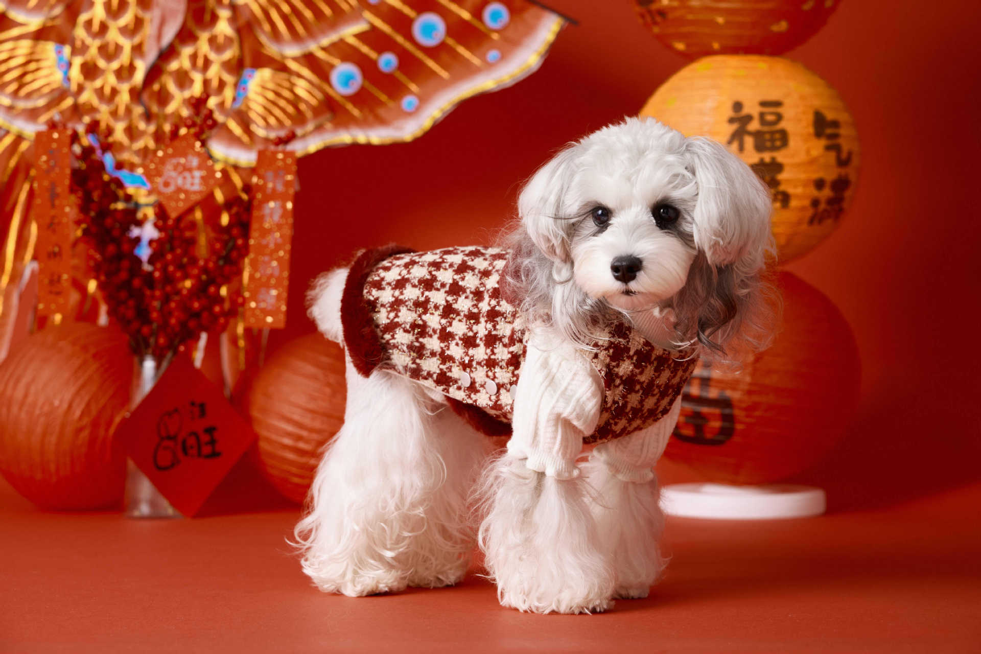 Vintage Houndstooth Winter Dress