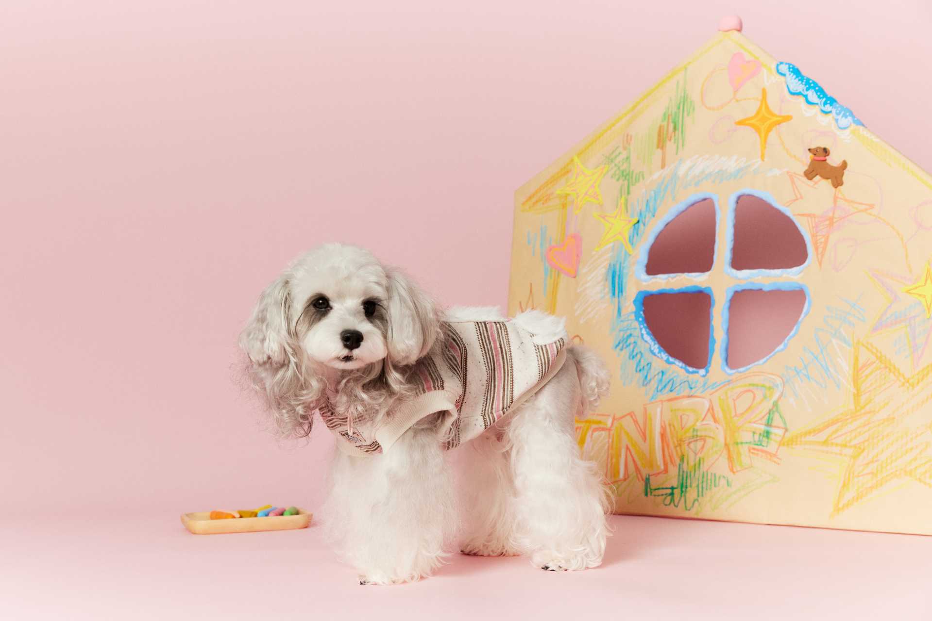 Cherry Bear Hooded Sweater