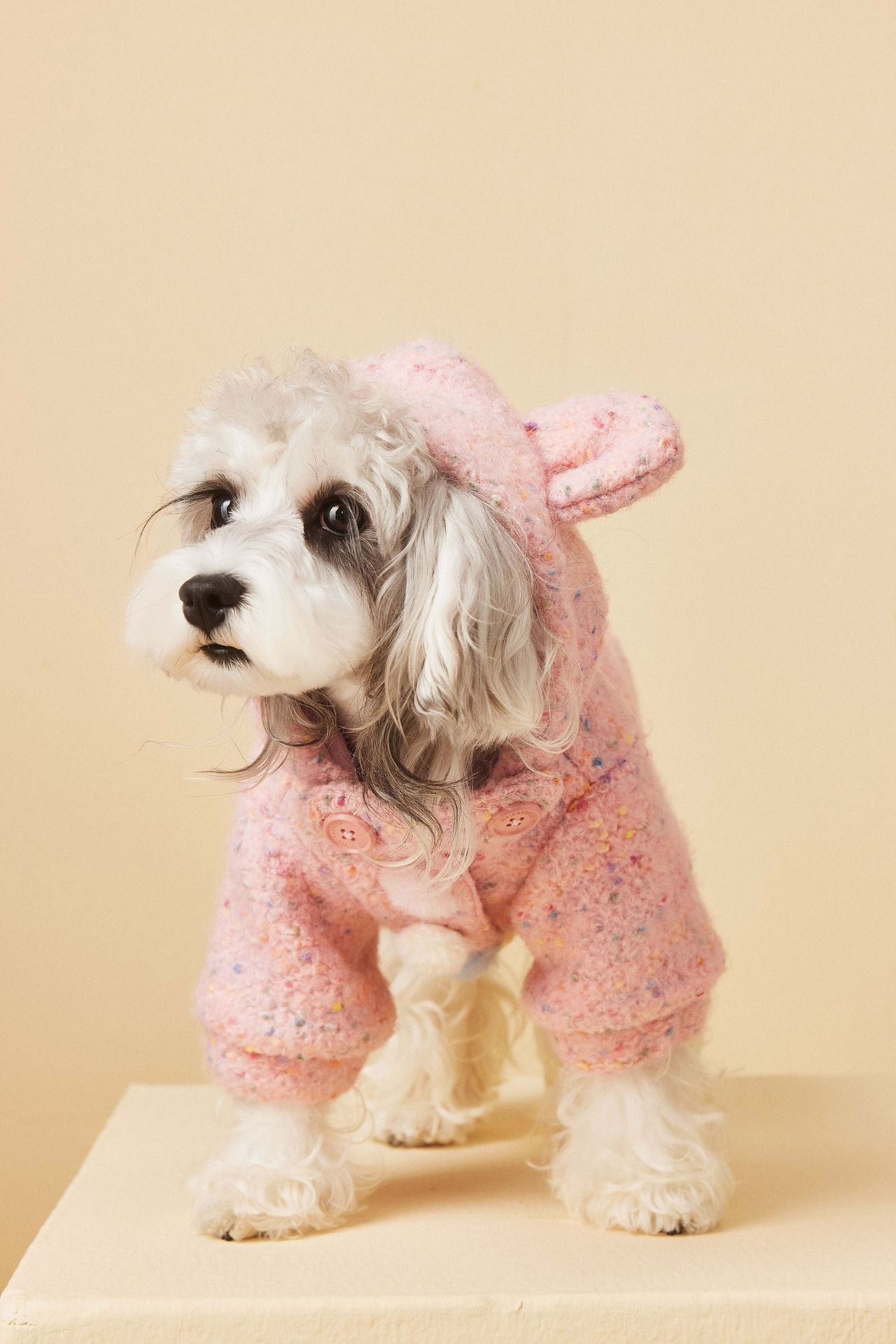 Teddy Ear Wool Hoodie