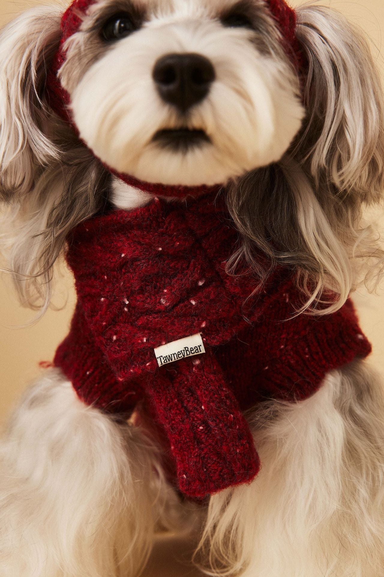 Red Knit Sweater with Puppy Patch