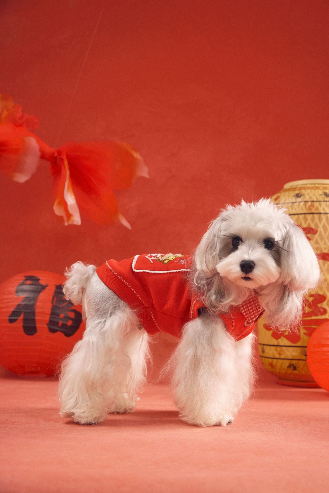 Lucky Get Money Pony Sweat Vest