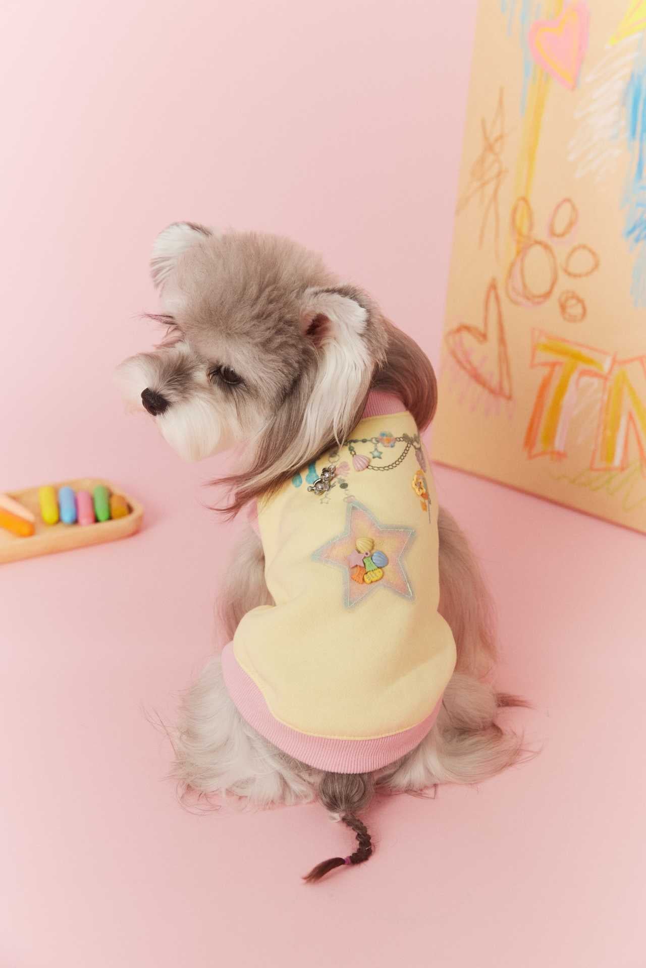 Cute Star Patch Sweatshirt for Dogs Yellow Pink