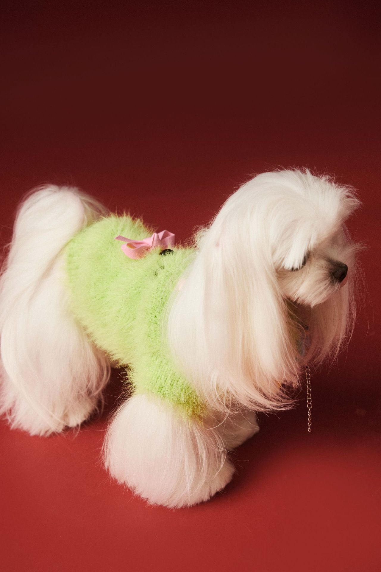 Fluffy Knit Dog Vest with Teddy Face