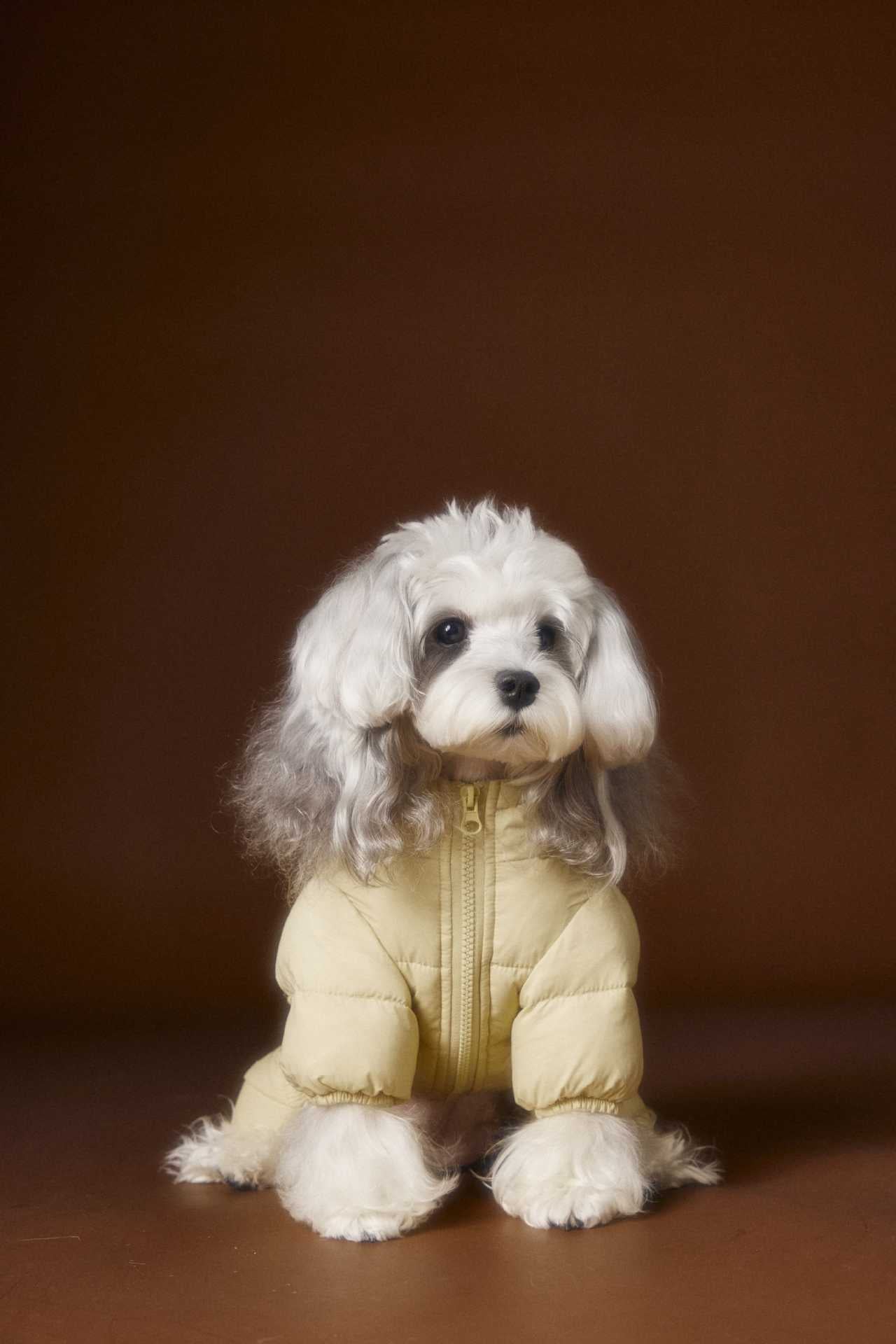 Teddy Ear Puffer Jumpsuit