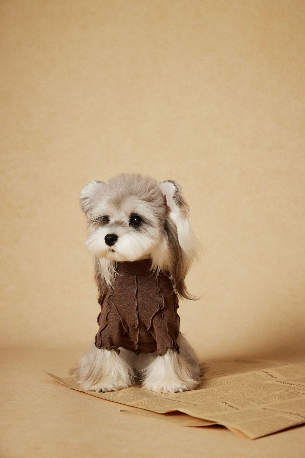 Ruffle Edge Dog Shirt