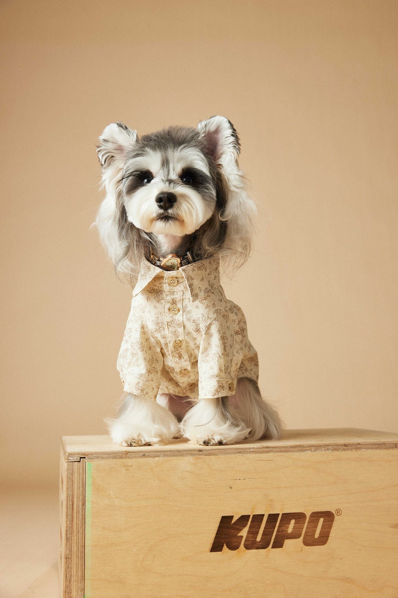 Floral Print Short Sleeve Shirt