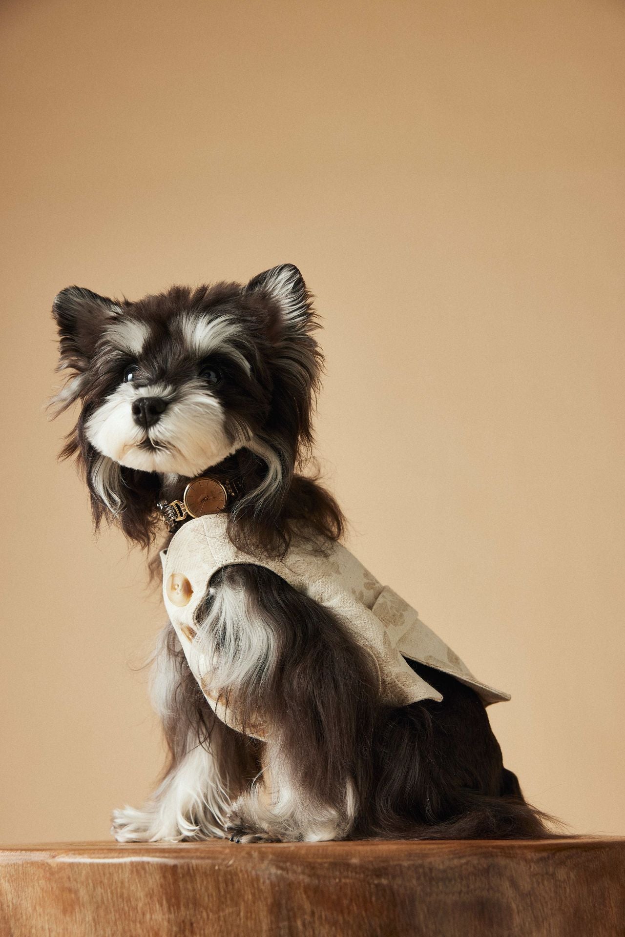 Ivory Gentleman Suit Vest